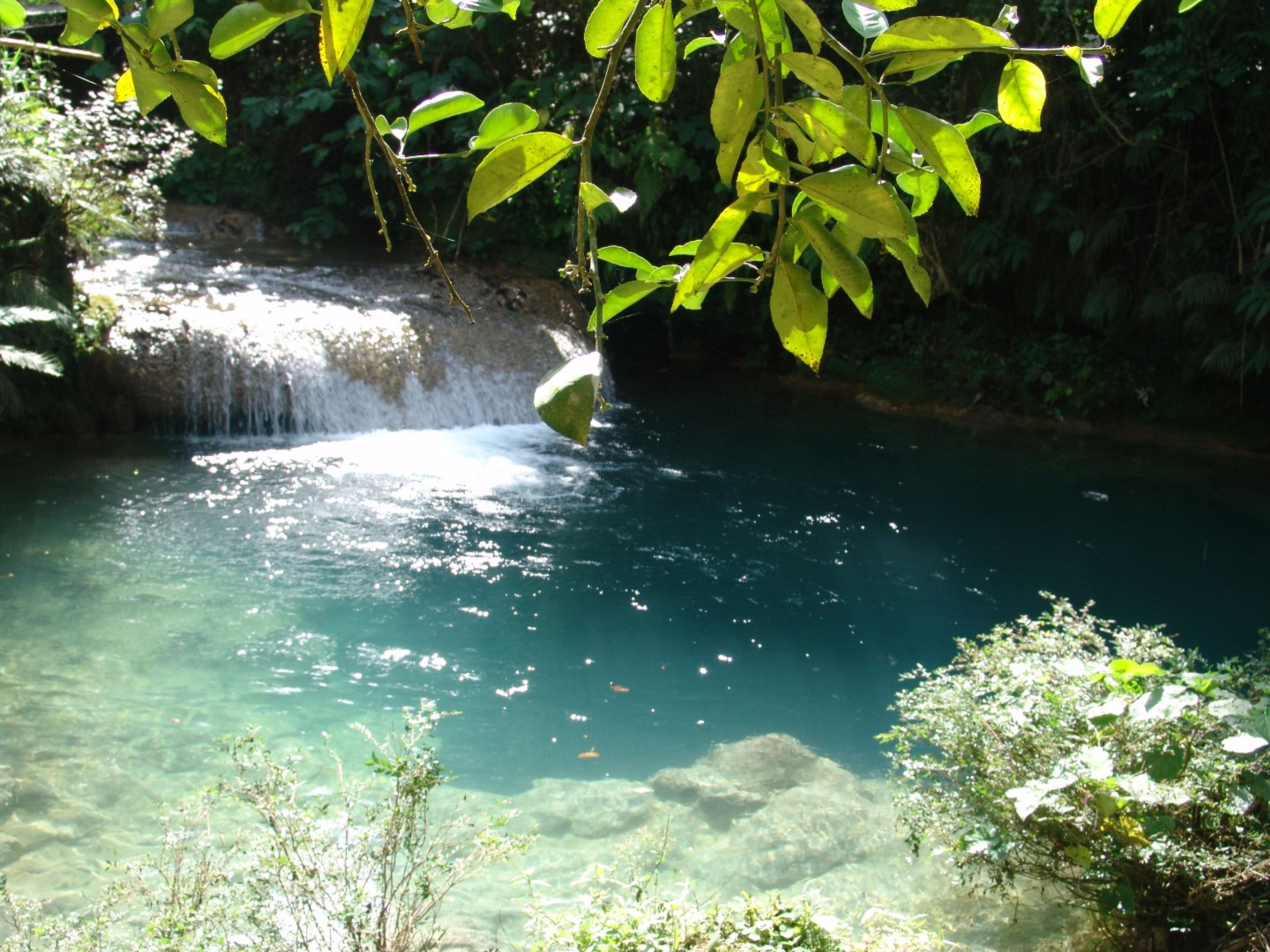 Excursión “A CIENFUEGOS -  EL NICHO”. El Nicho Natural Park panoramic view, Cienfuegos, Cuba.