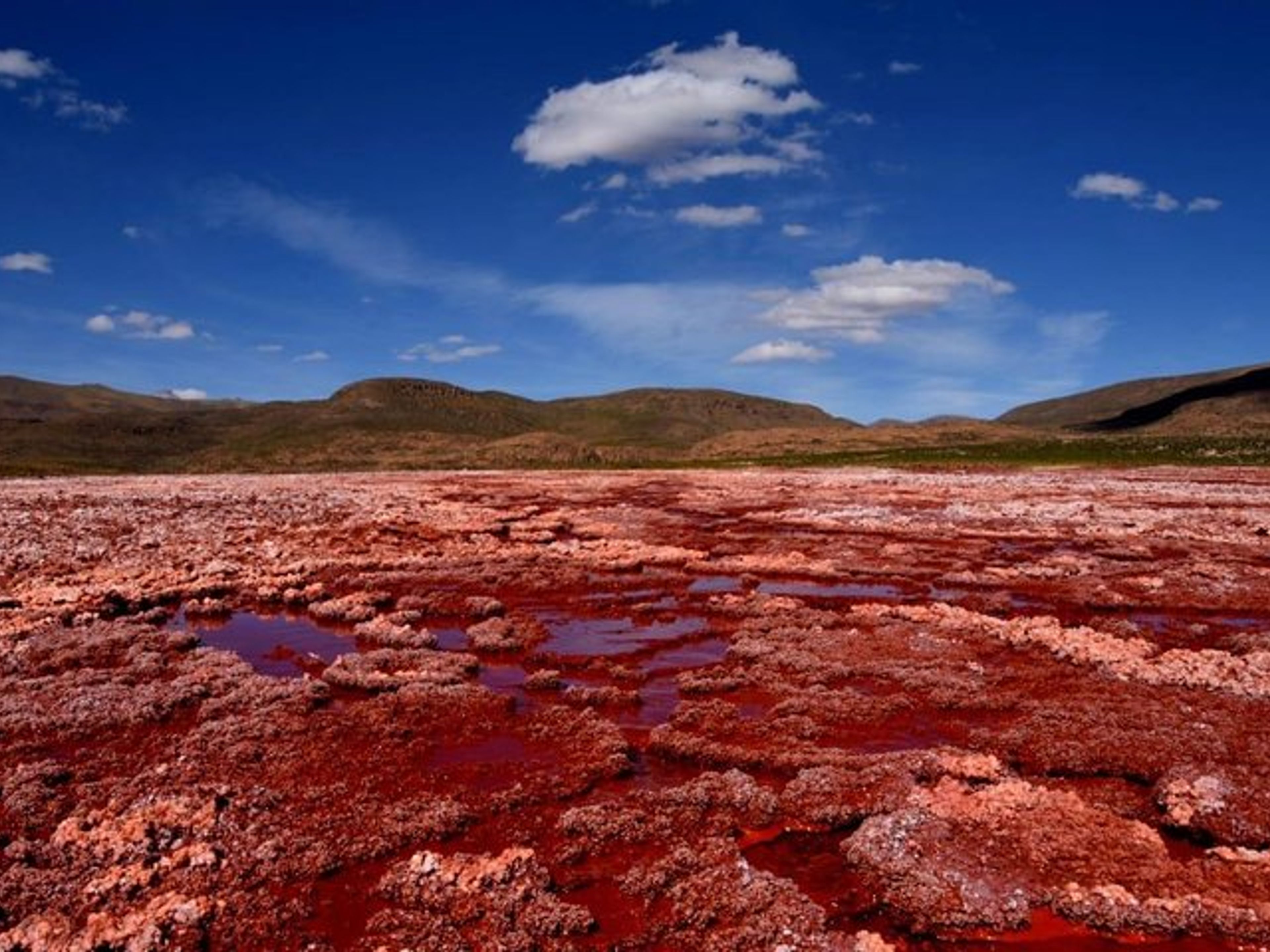 “THE MYSTERIOUS RED LAGOON" Tour