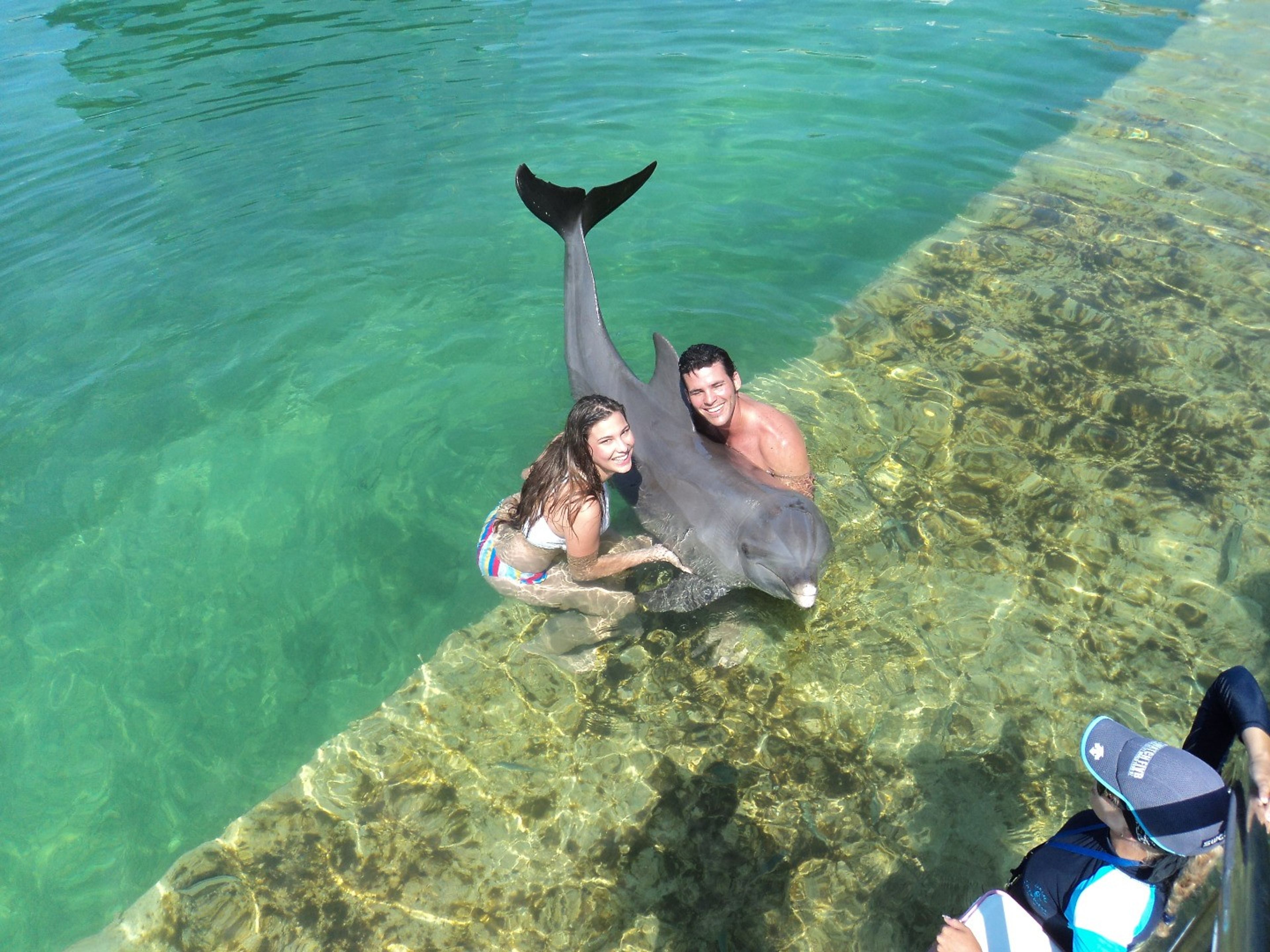 Tour "SEAFARI CRUCERO DEL SOL". Interacting with the Dolphins at Cayo Santa María dolphinarium