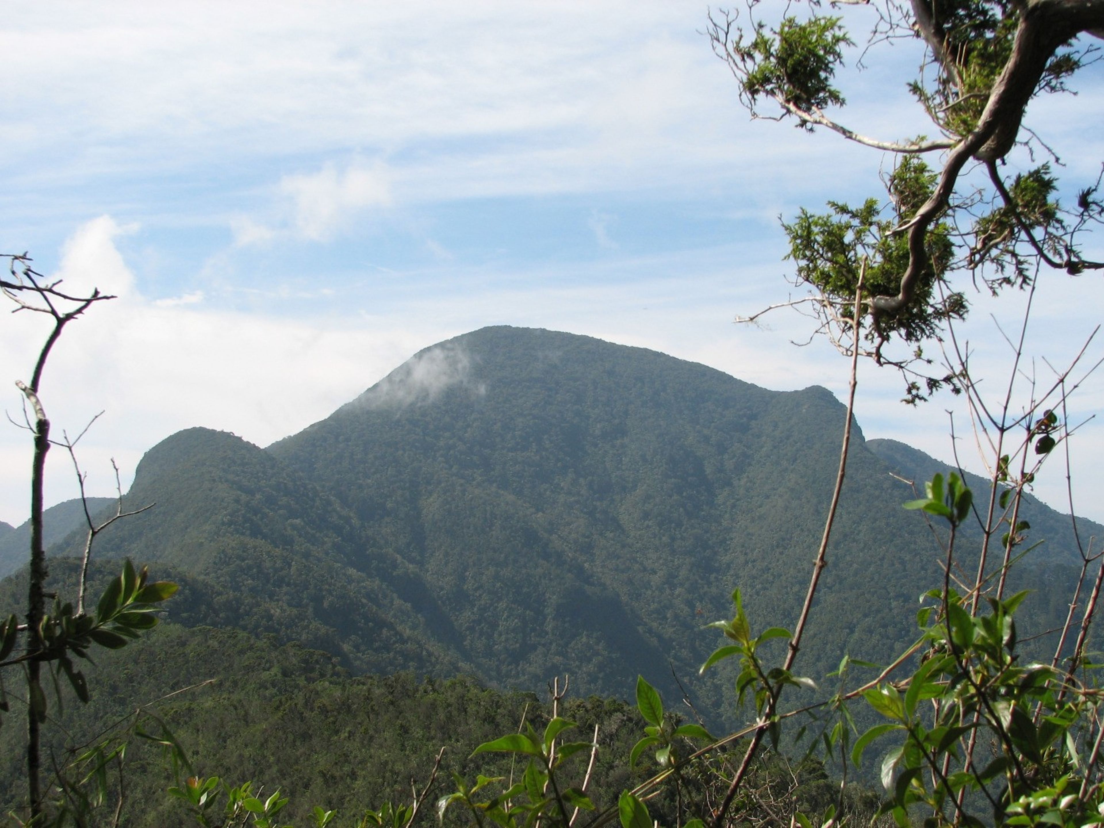 Jeep Safari "DEL CARIBE A LA SIERRA". Turquino National Park panoramic view, Granma