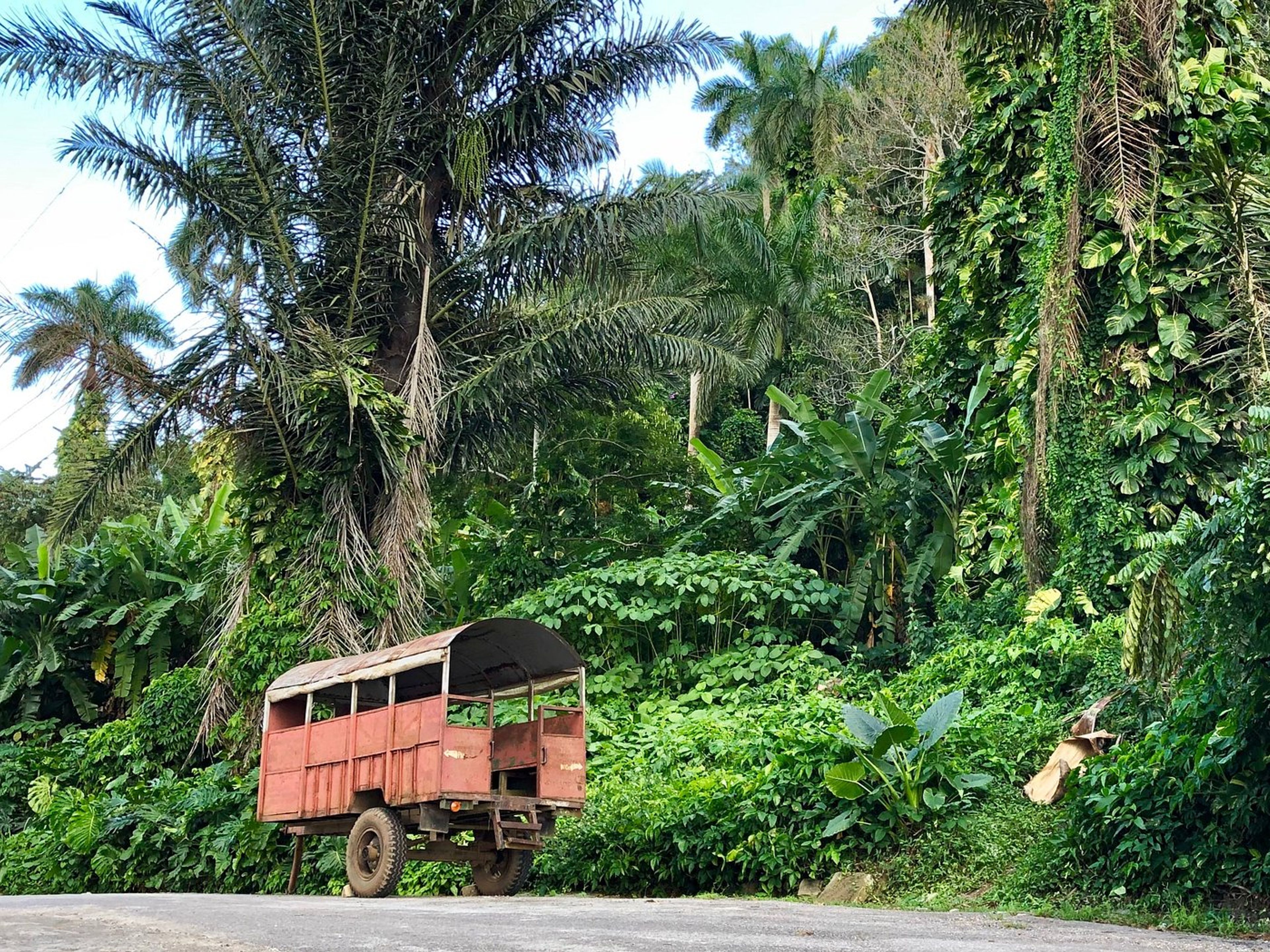 Excursão "COMBINAÇÕES ENCANTADORAS: SOROA - LAS TERRAZAS". Soroa Natural Park panoramic view, Artemisa, Cuba.