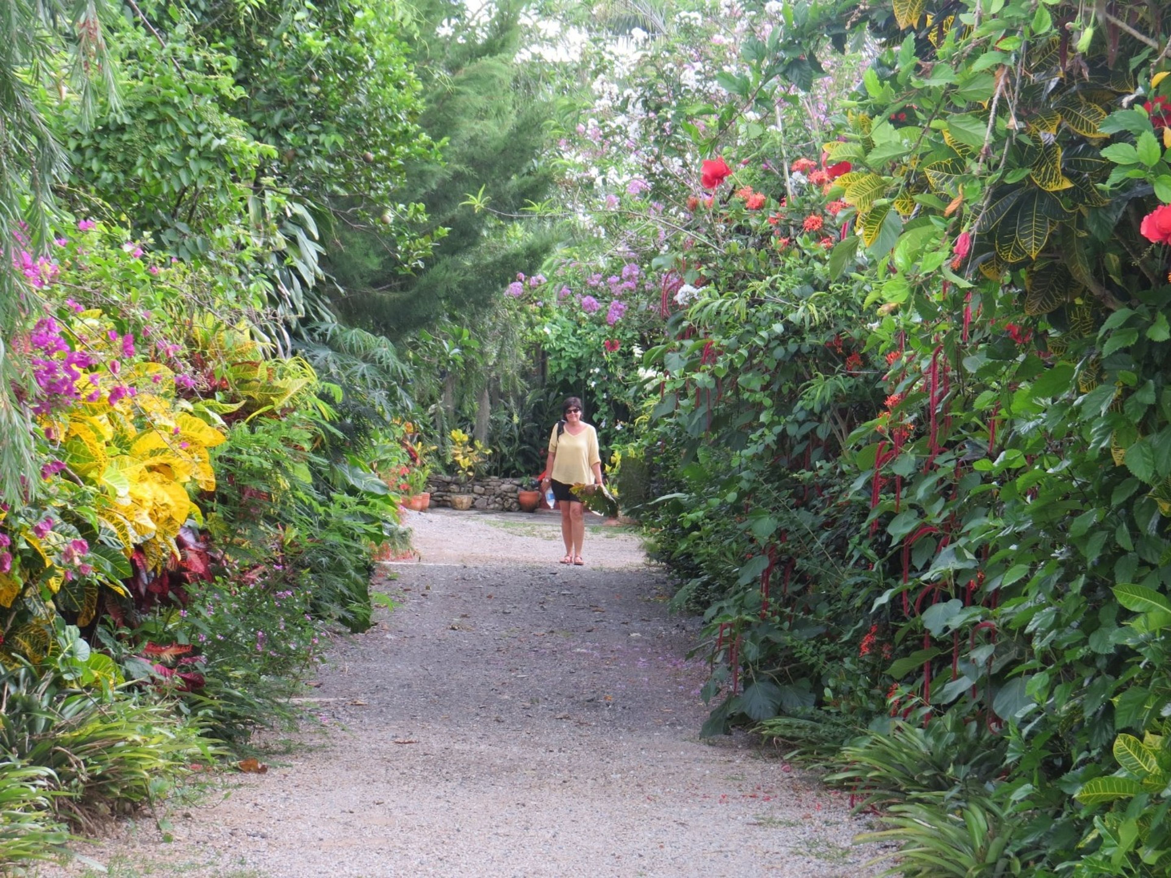 Excursão "COMBINAÇÕES ENCANTADORAS: SOROA - LAS TERRAZAS". Soroa Natural Park panoramic view, Artemisa, Cuba.