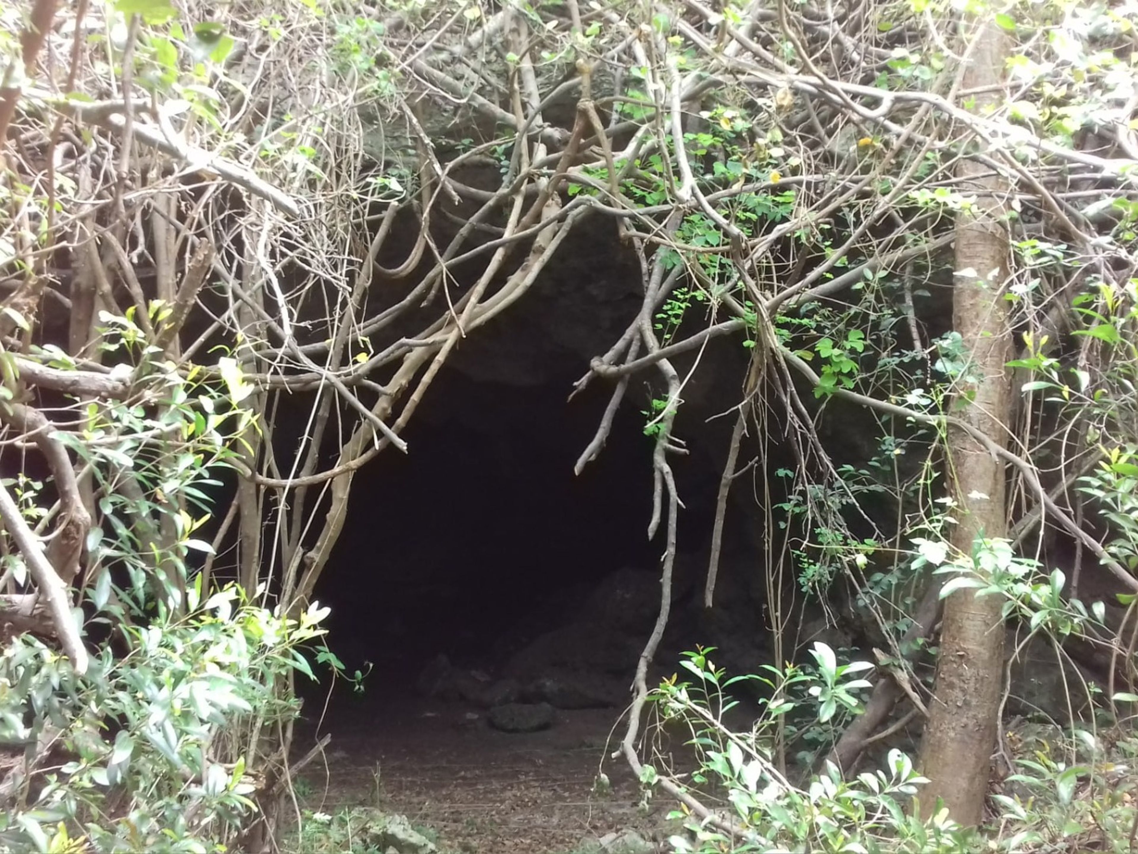 Tour "VACANZA IN FAMIGLIA". Cueva de Pelo de Oro trail, Cayo Santa María, Villa Clara, Cuba.