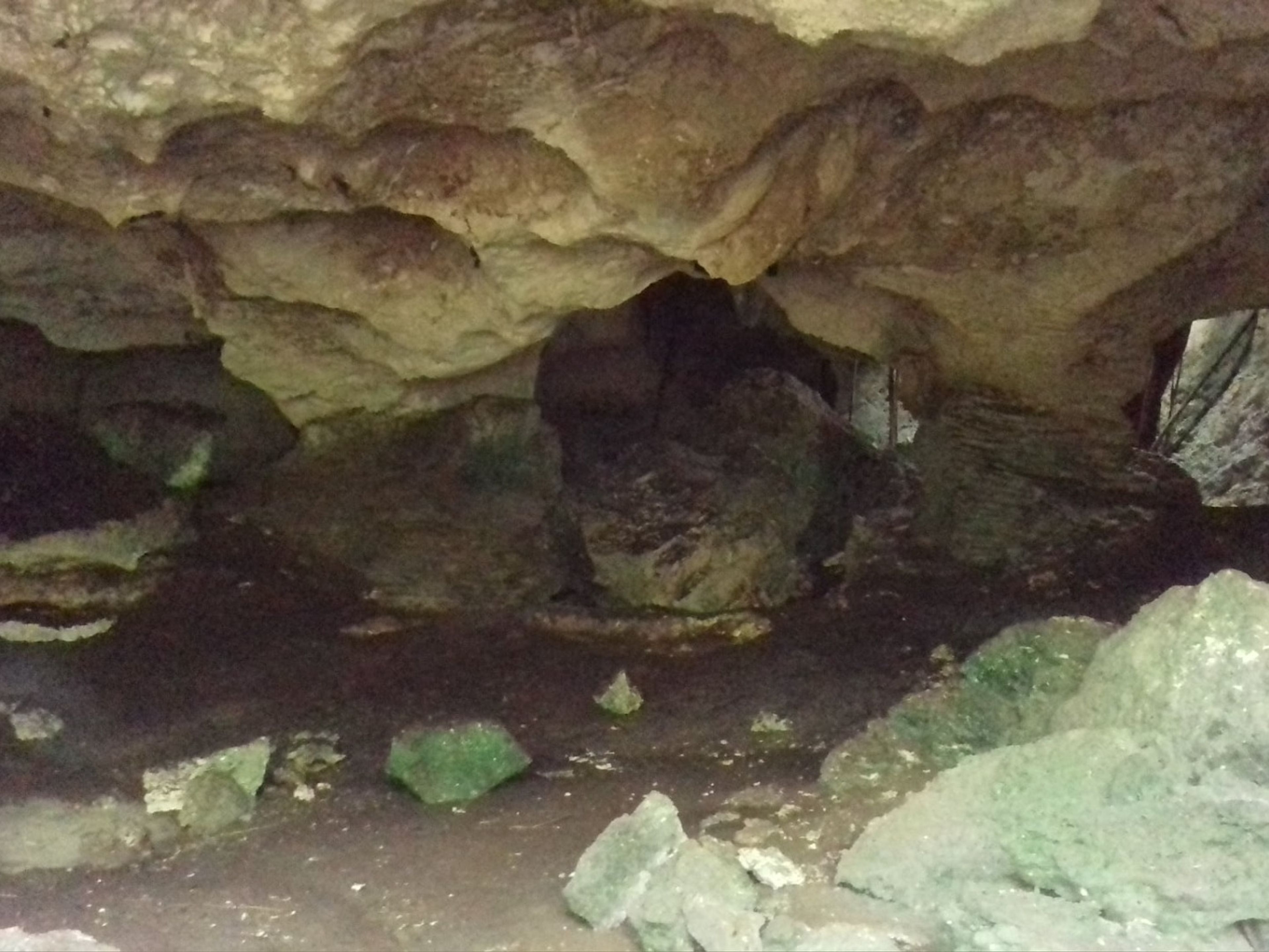 Tour "VACANZA IN FAMIGLIA". Cueva de Pelo de Oro trail, Cayo Santa María, Villa Clara, Cuba.