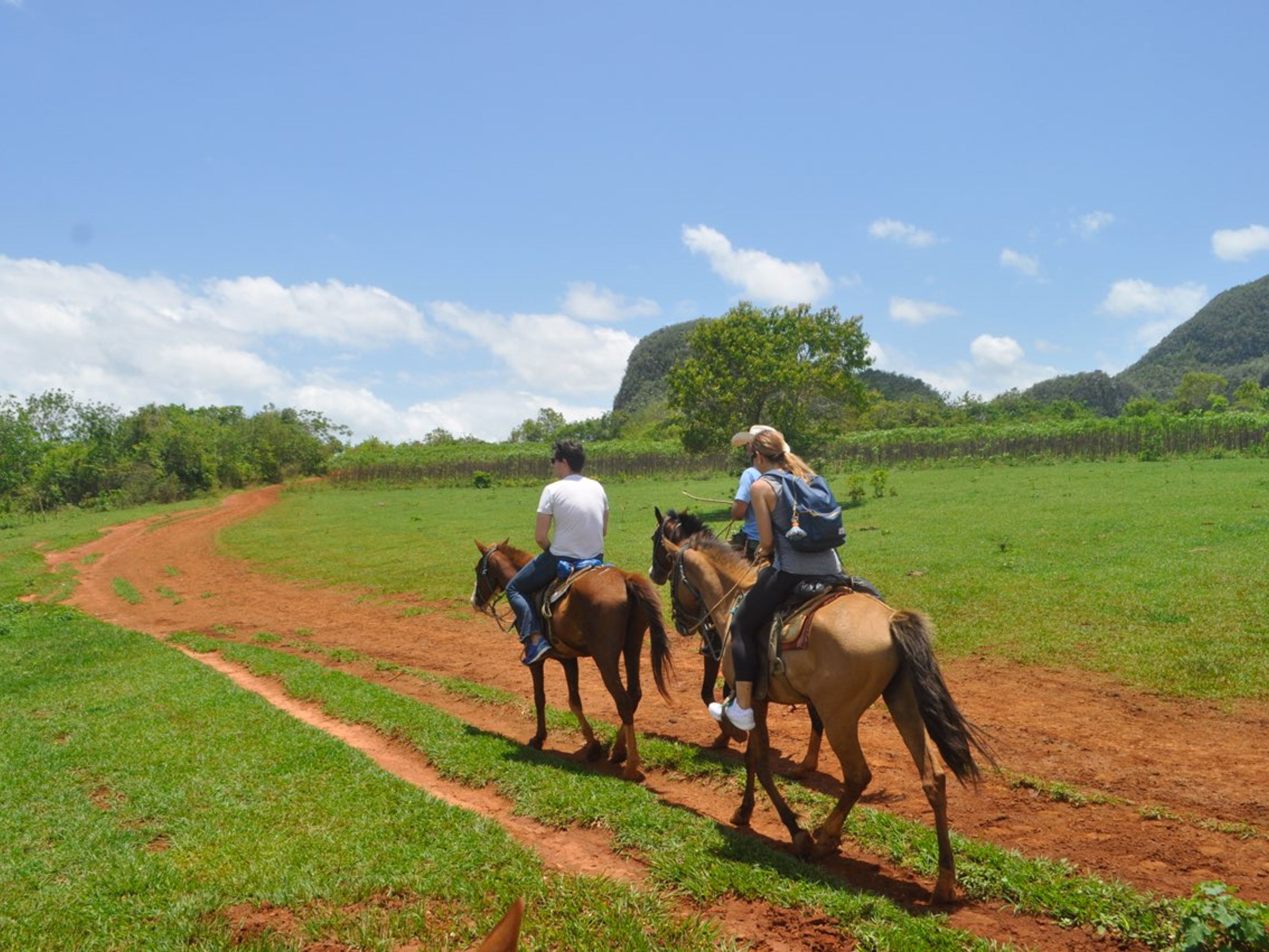 "PFERDEABENTEUER DURCH DAS VIÑALES-TAL,  EINE AUTHENTISCHE REISE INS HERZ DES LÄNDLICHEN KUBA" Tour. HORSEBACK ADVENTURE THROUGH THE VIÑALES VALLEY, AN AUTHENTIC JOURNEY INTO THE HEART OF RURAL CUBA” Tour, Viñales, Pinar del Río, Cuba.