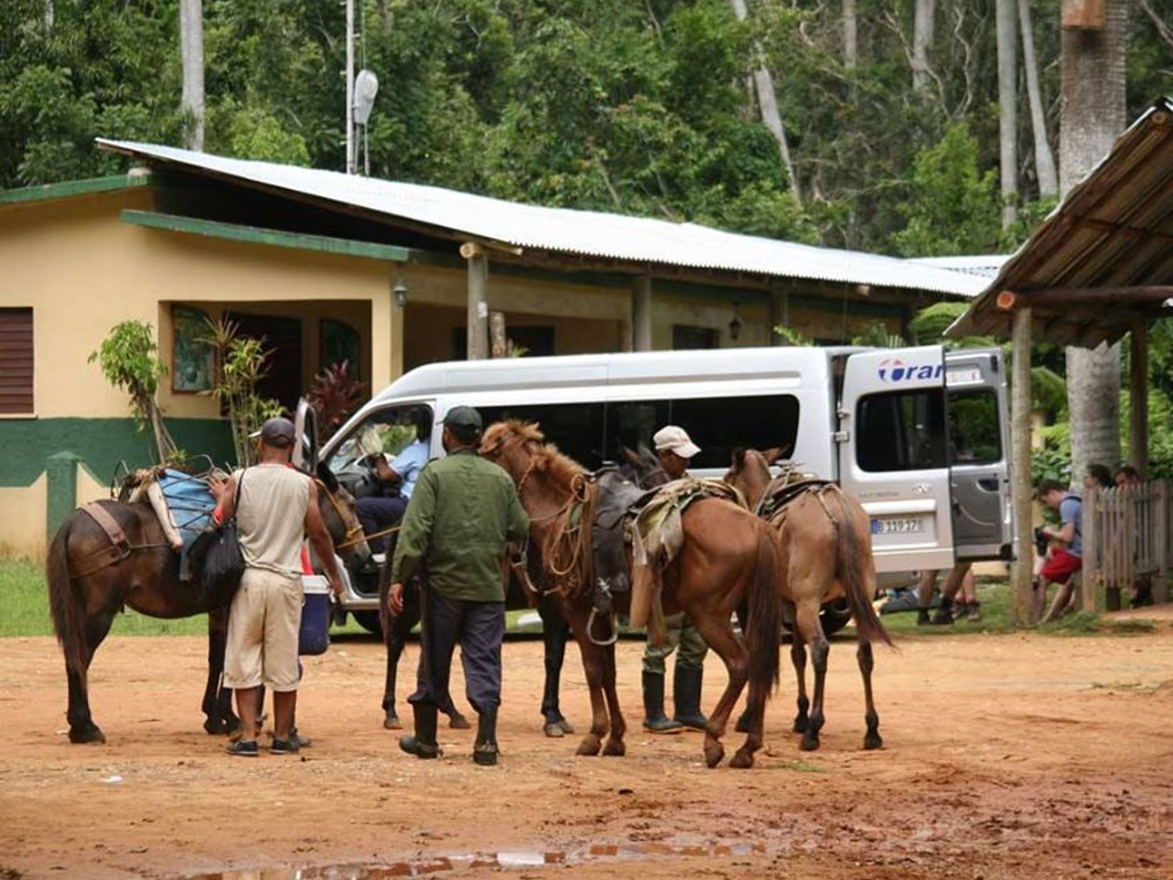 Excursão de Caminhada "RESERVA ECOLÓGICA LOMAS DE BANAO". "Lomas de Banao" Ecological Reserve, Santi Spíritus, Cuba.