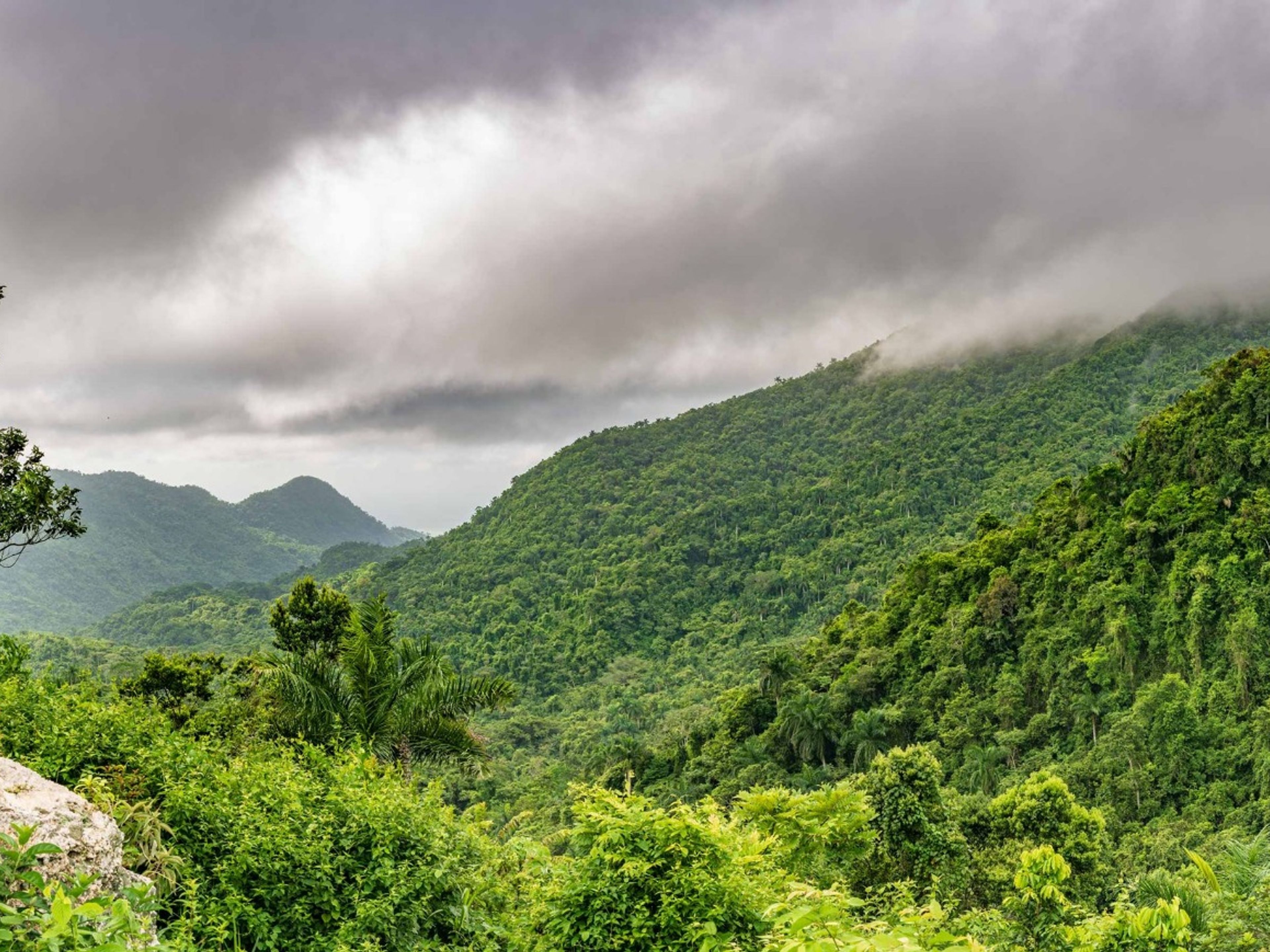 Excursión de senderismo "RESERVA ECOLÓGICA LOMAS DE BANAO”. "Lomas de Banao" Ecological Reserve, Santi Spíritus, Cuba.