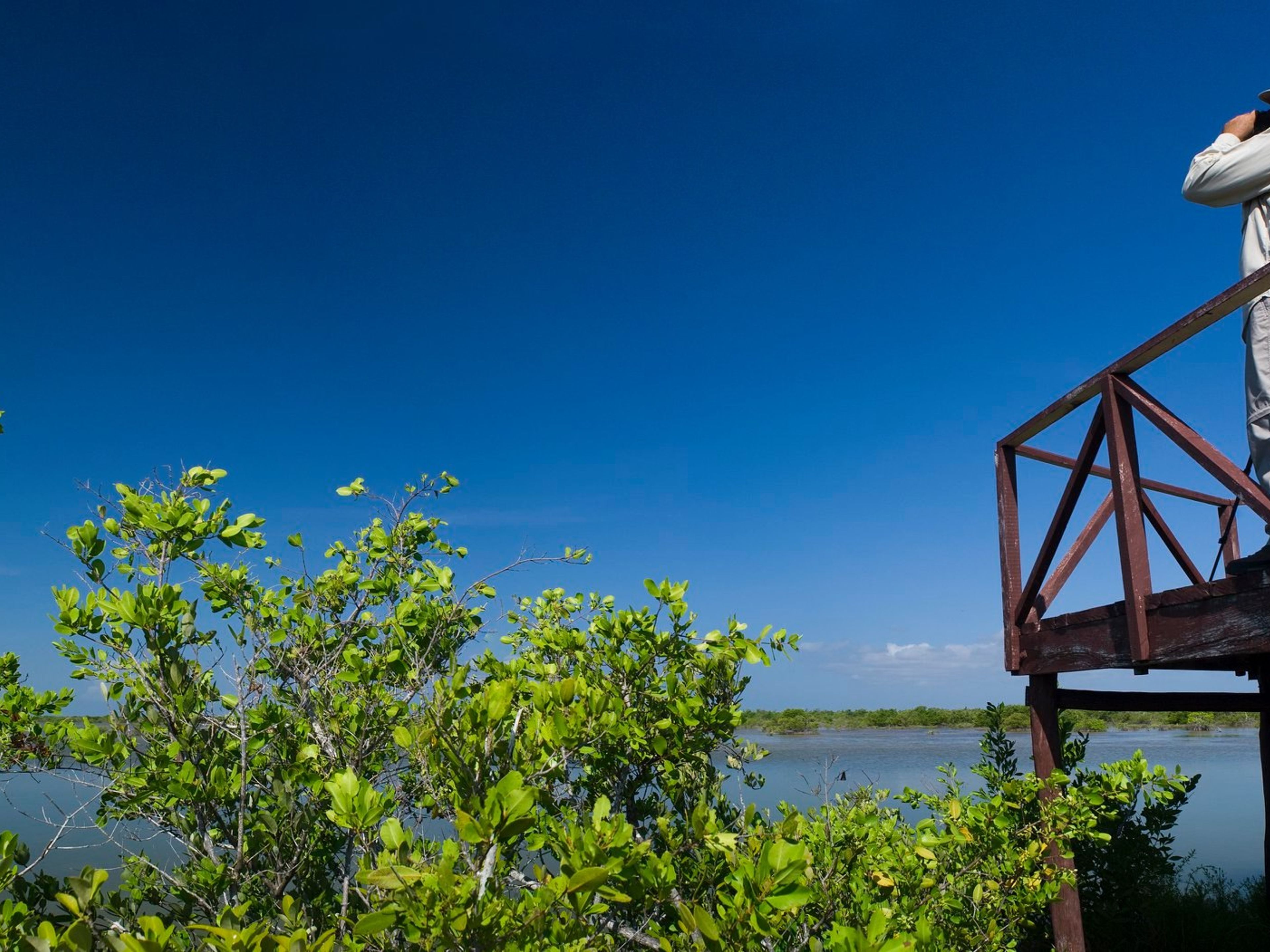 Tour "RANNDONNÉE ET OBSERVATION D'OISEAUX Á LAS SALINAS DE BRITO"