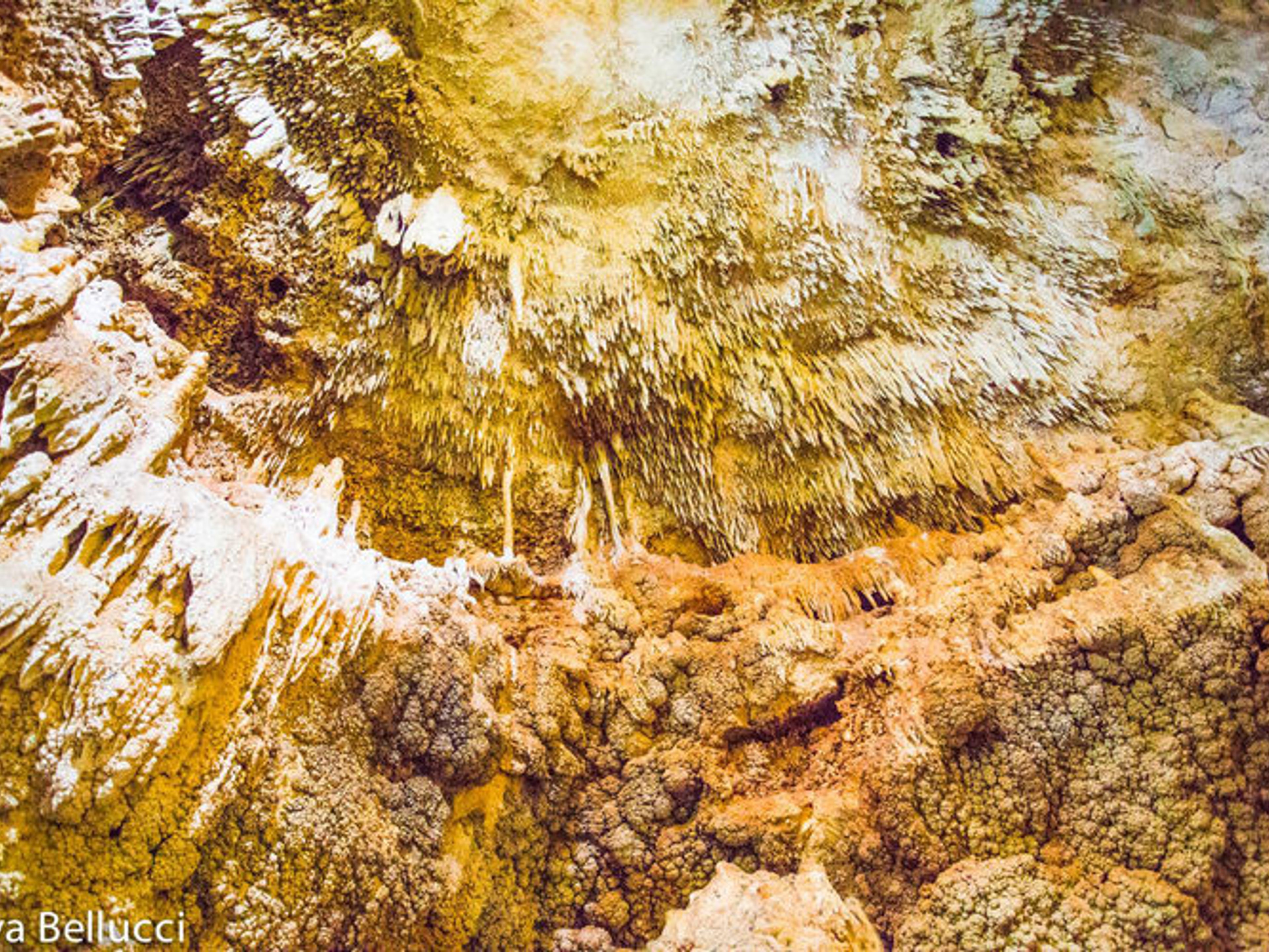 "Tulum + Cenotes" Tour. Cavern at Tancach- Ha, Yucatan Peninsula. Mexico.