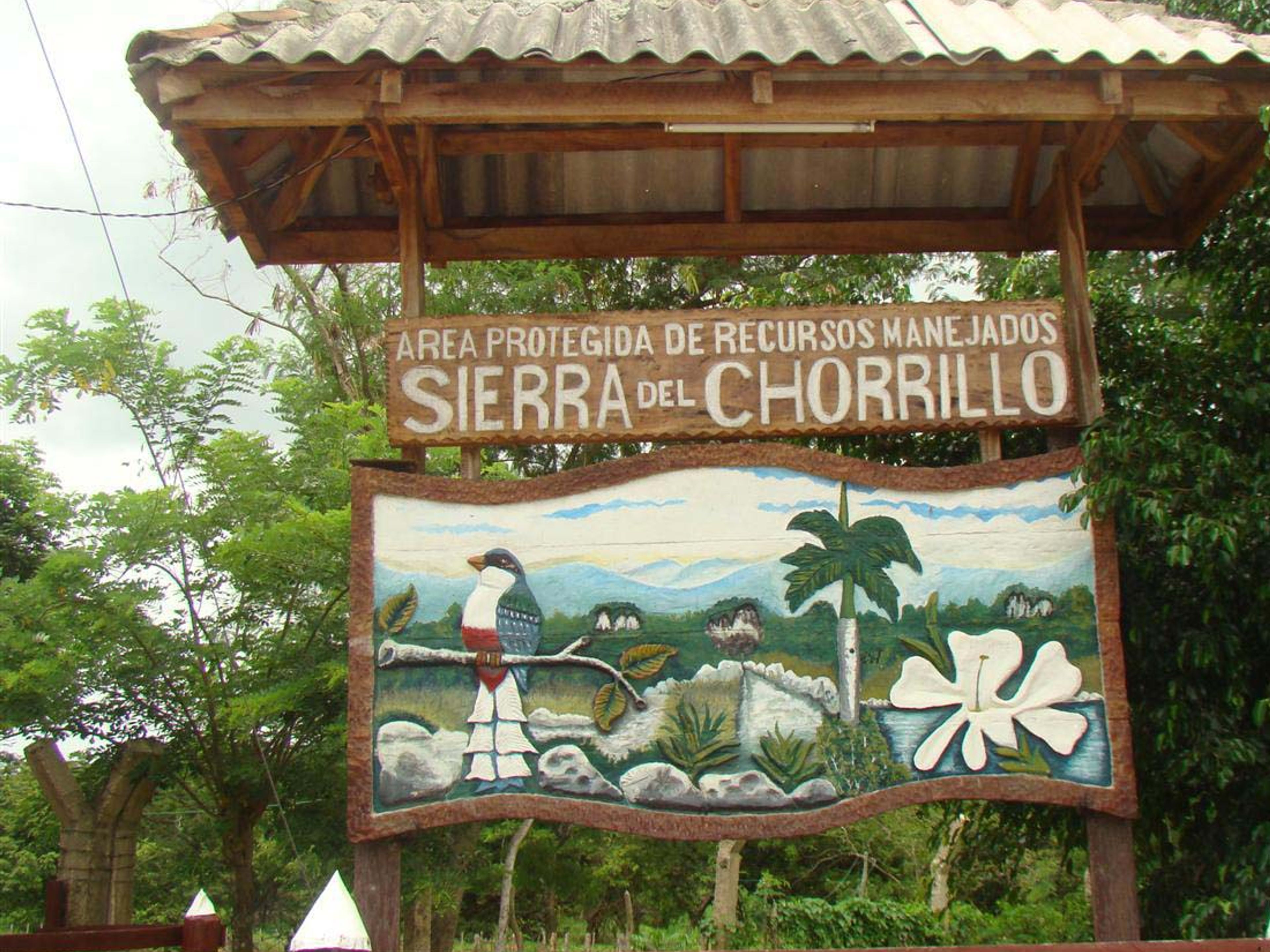 "Tour da Floresta Fóssil". Sierra del Chorillo, Camagüey