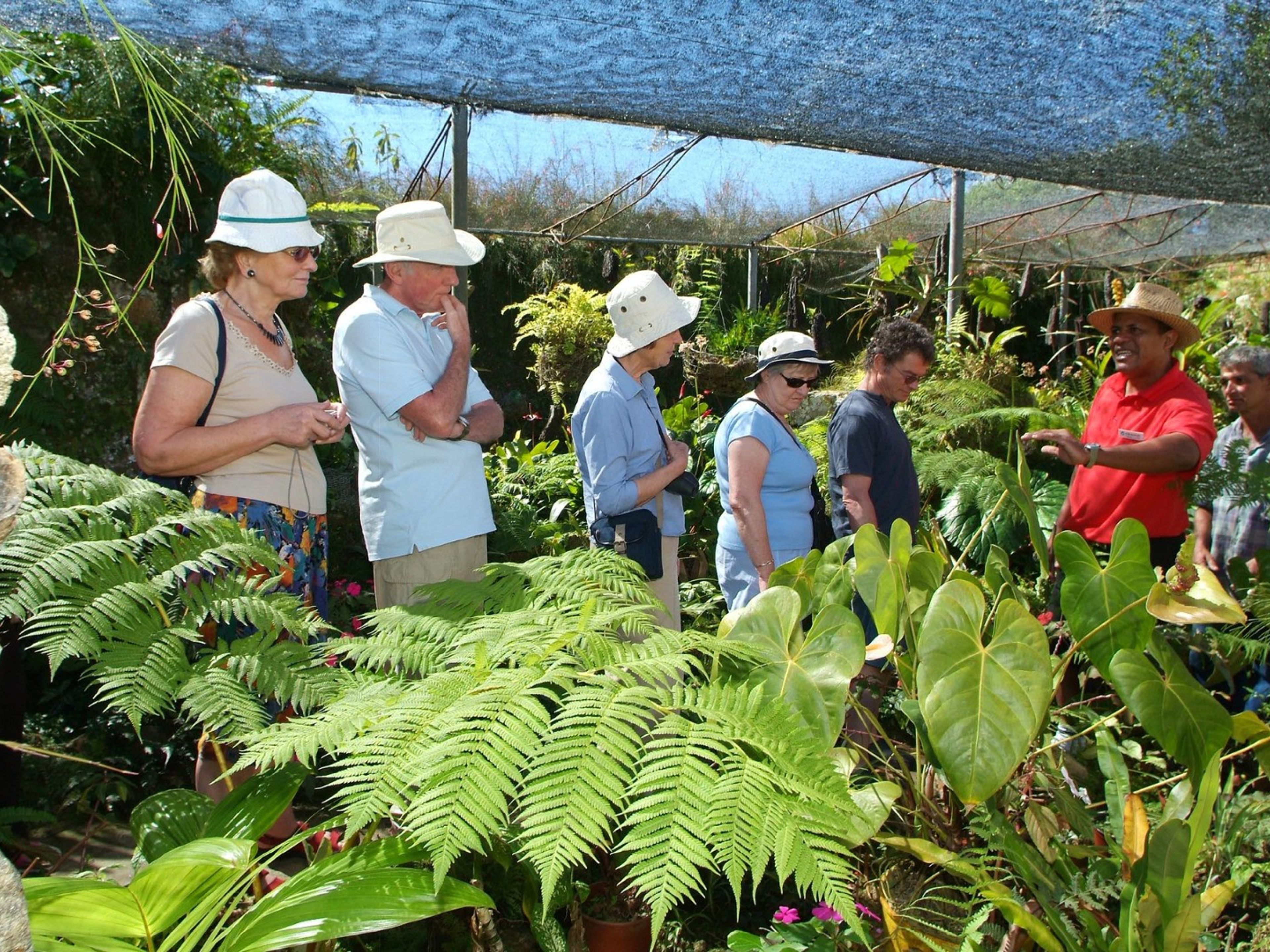 Джип Cафари "ЛА ГРАН ПЬЕДРА + ОБЕД". Ave del Paraiso botanical garden, Santiago de Cuba