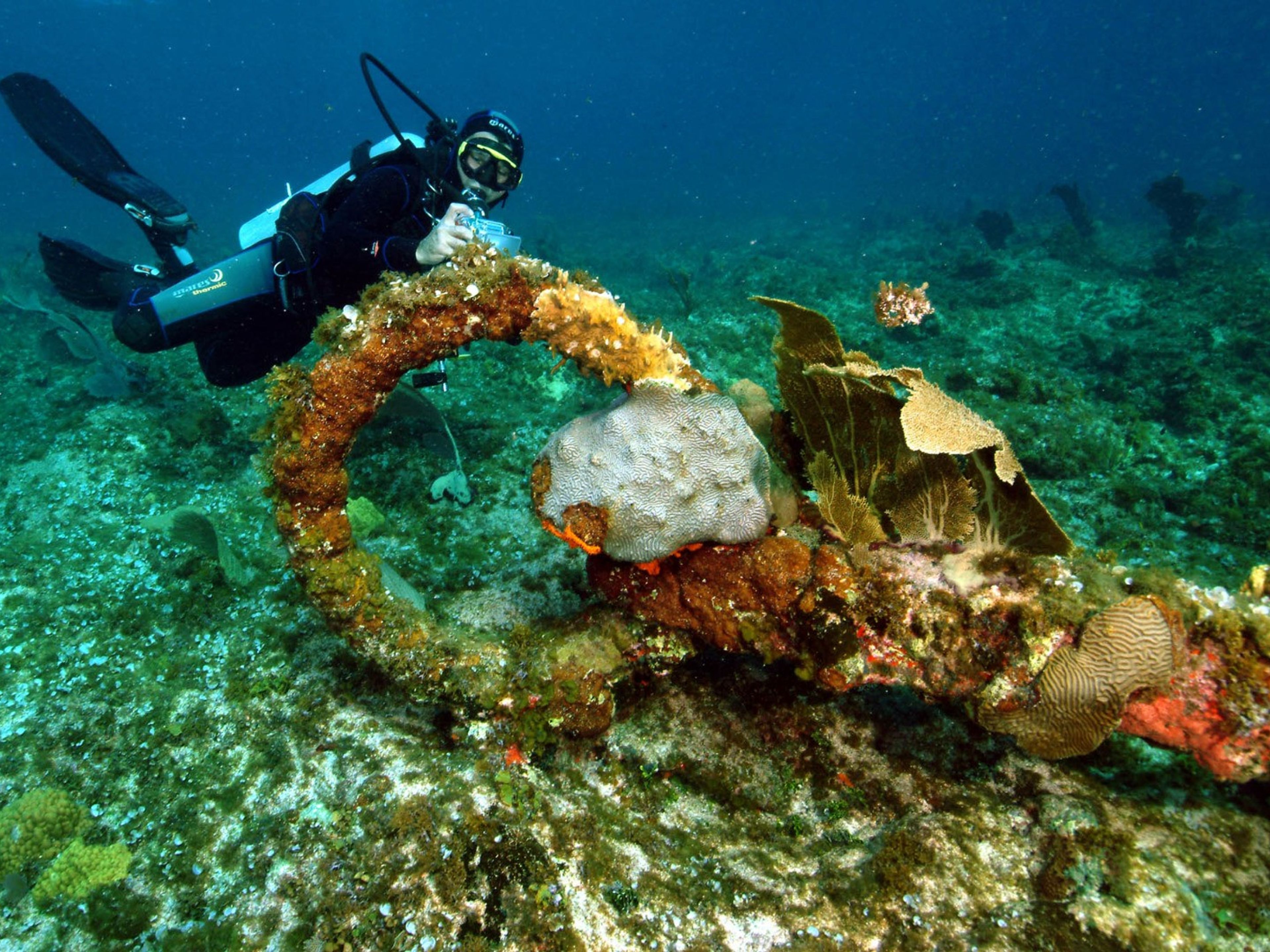 Excursão "MERGULHO SUBMARINO EM JARDINES DEL REY". Scuba diving tour at Jardines del Rey