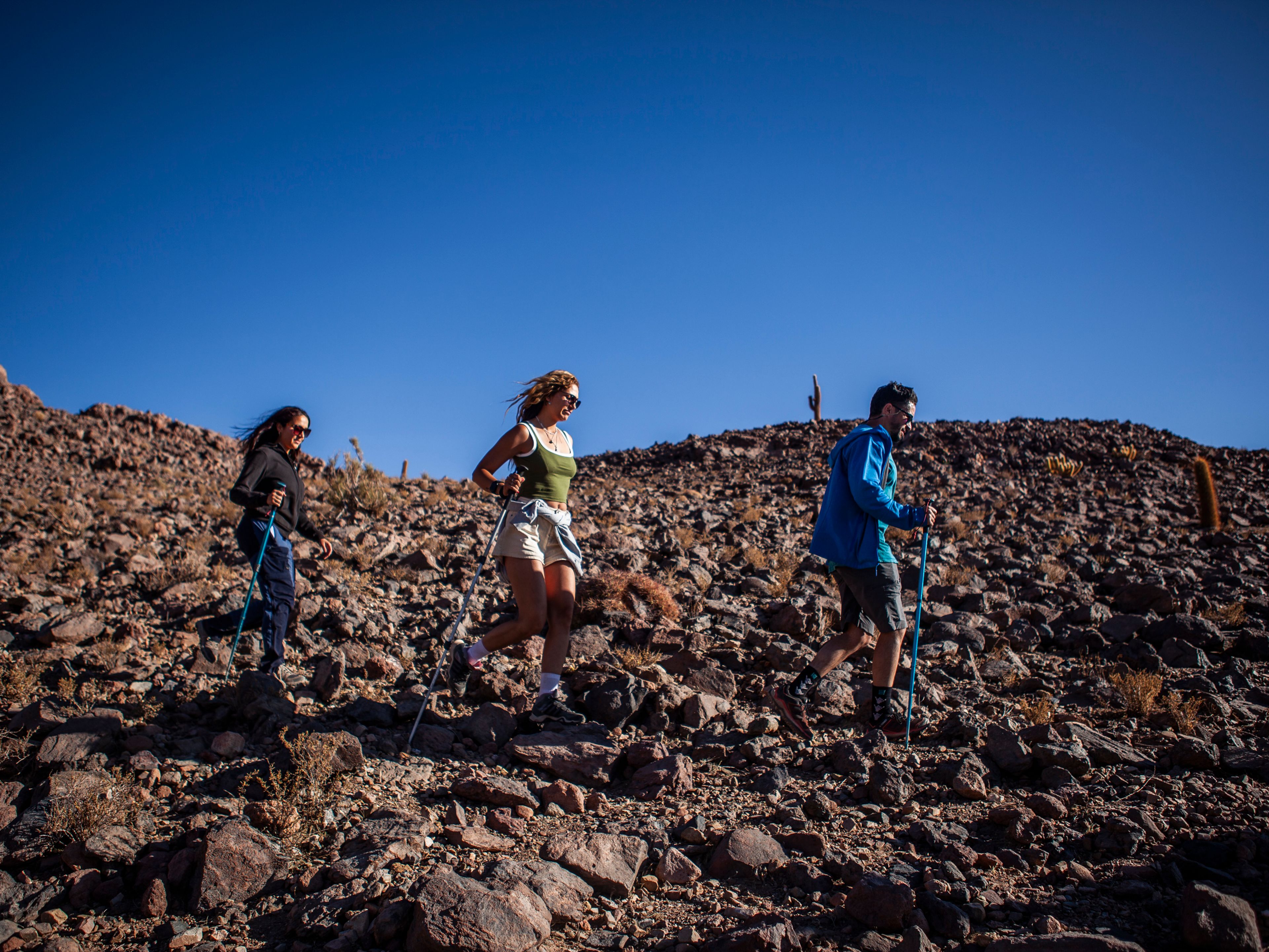 "TREKKING ZUM TAL DER RIESENKAKTEEN" PREMIUM Tour. "TREKKING TO THE GIANT CACTUS VALLEY" PREMIUM Tour, San Pedro de Atacama, Chile.