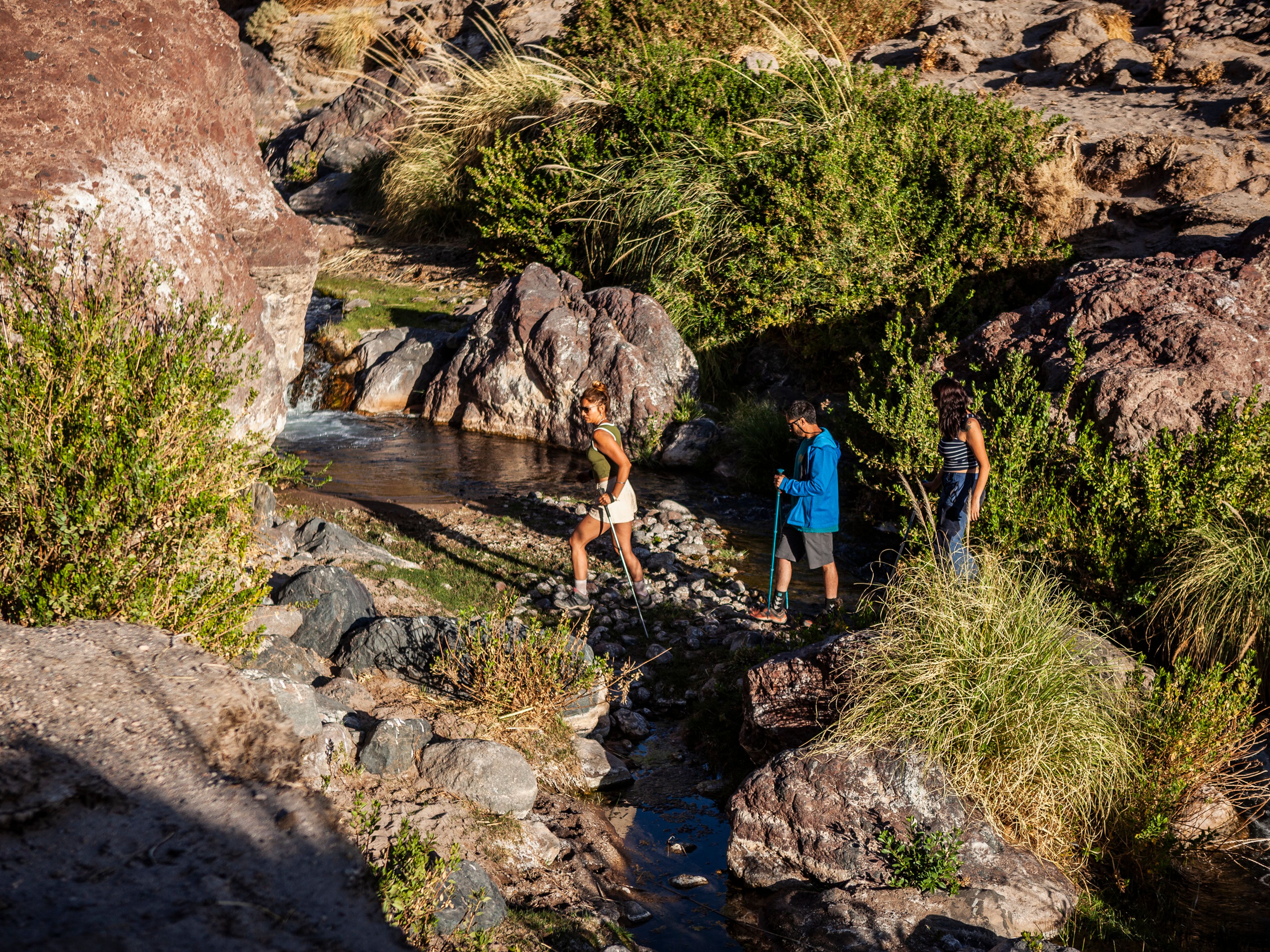 "TREKKING ZUM TAL DER RIESENKAKTEEN" PREMIUM Tour. "TREKKING TO THE GIANT CACTUS VALLEY" PREMIUM Tour, San Pedro de Atacama, Chile.