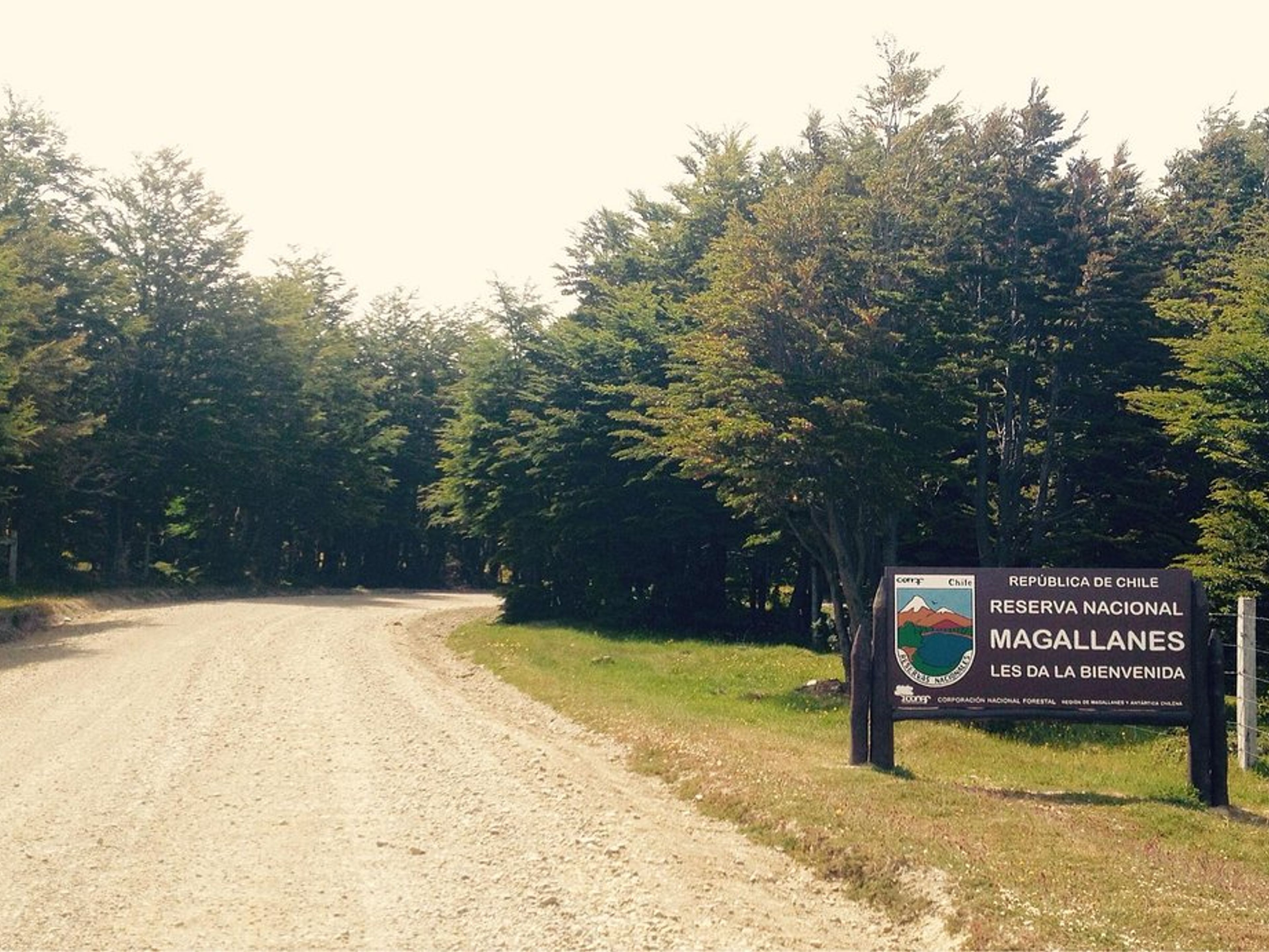 "HALF DAY TREKKING MAGALLANES NATIONAL RESERVE" Tour