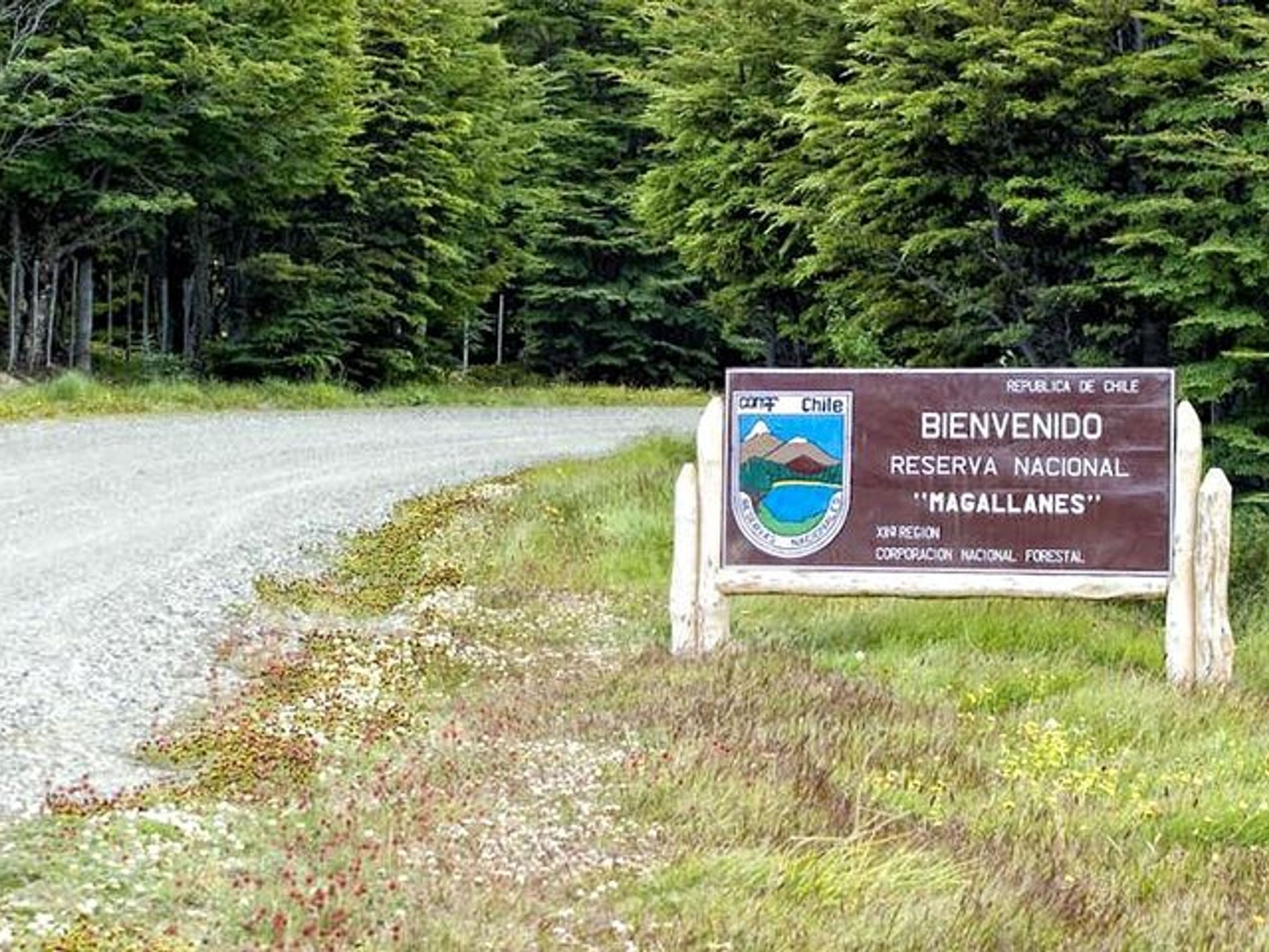 "HALF DAY TREKKING MAGALLANES NATIONAL RESERVE" Tour. "HALF DAY TREKKING MAGALLANES NATIONAL RESERVE" Tour, Punta Arenas, Chile. 