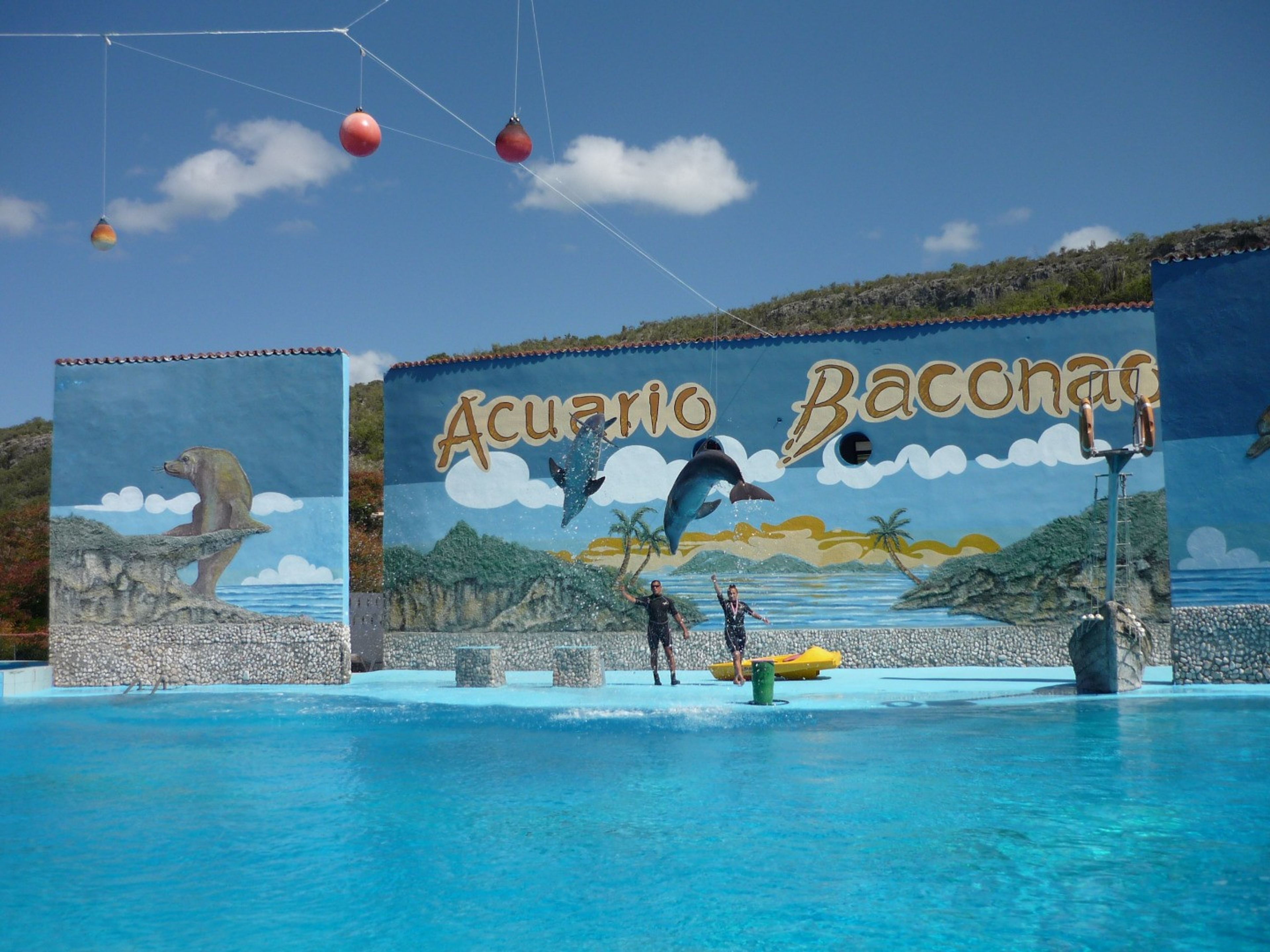 Jeep Safari “BIOSPHÄRENRESERVAT BACONAO PARK”. Dolphin show at Baconao dolphinarium, Santiago de Cuba
