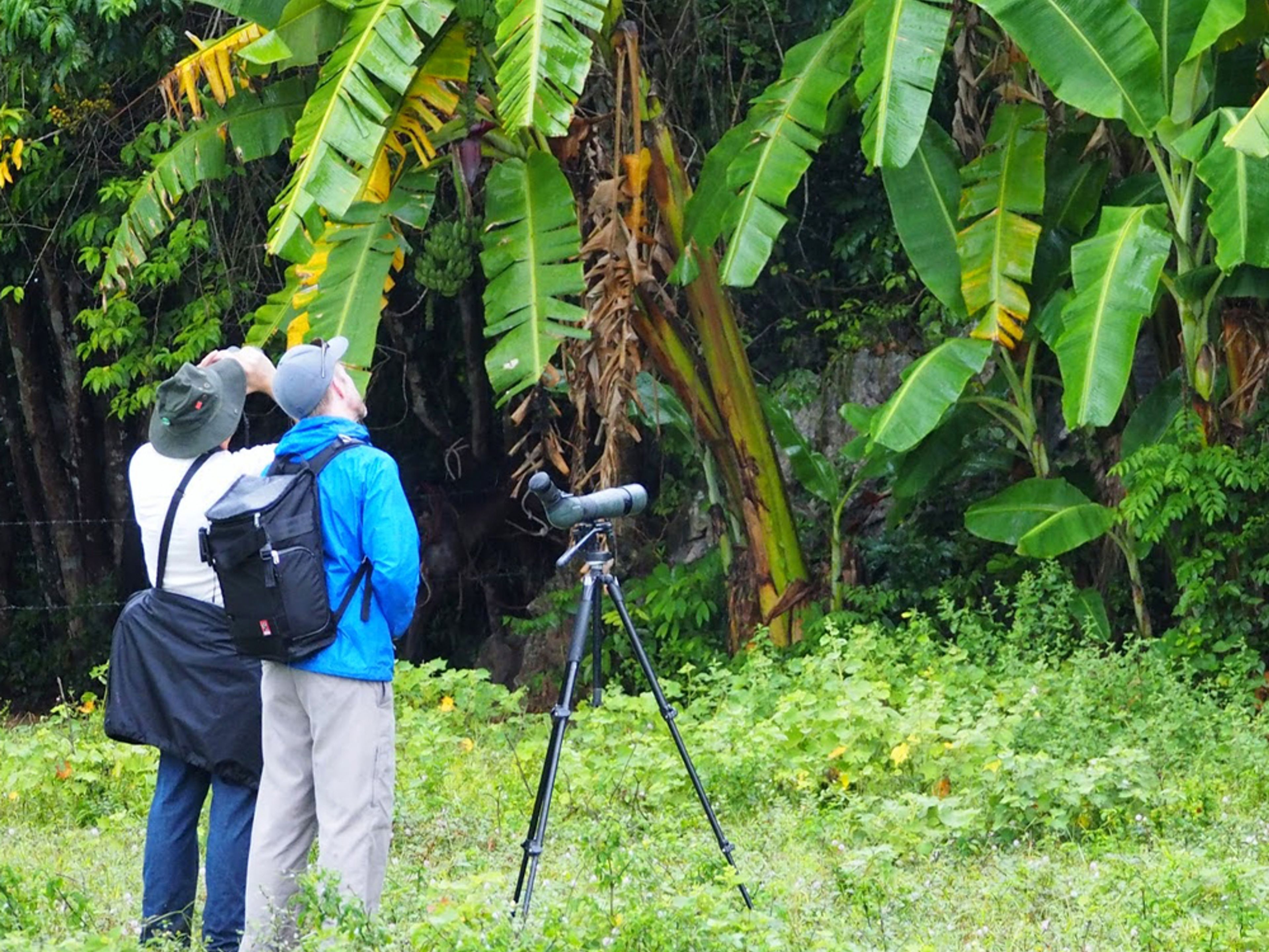 "Tour di birdwatching a Viñales"