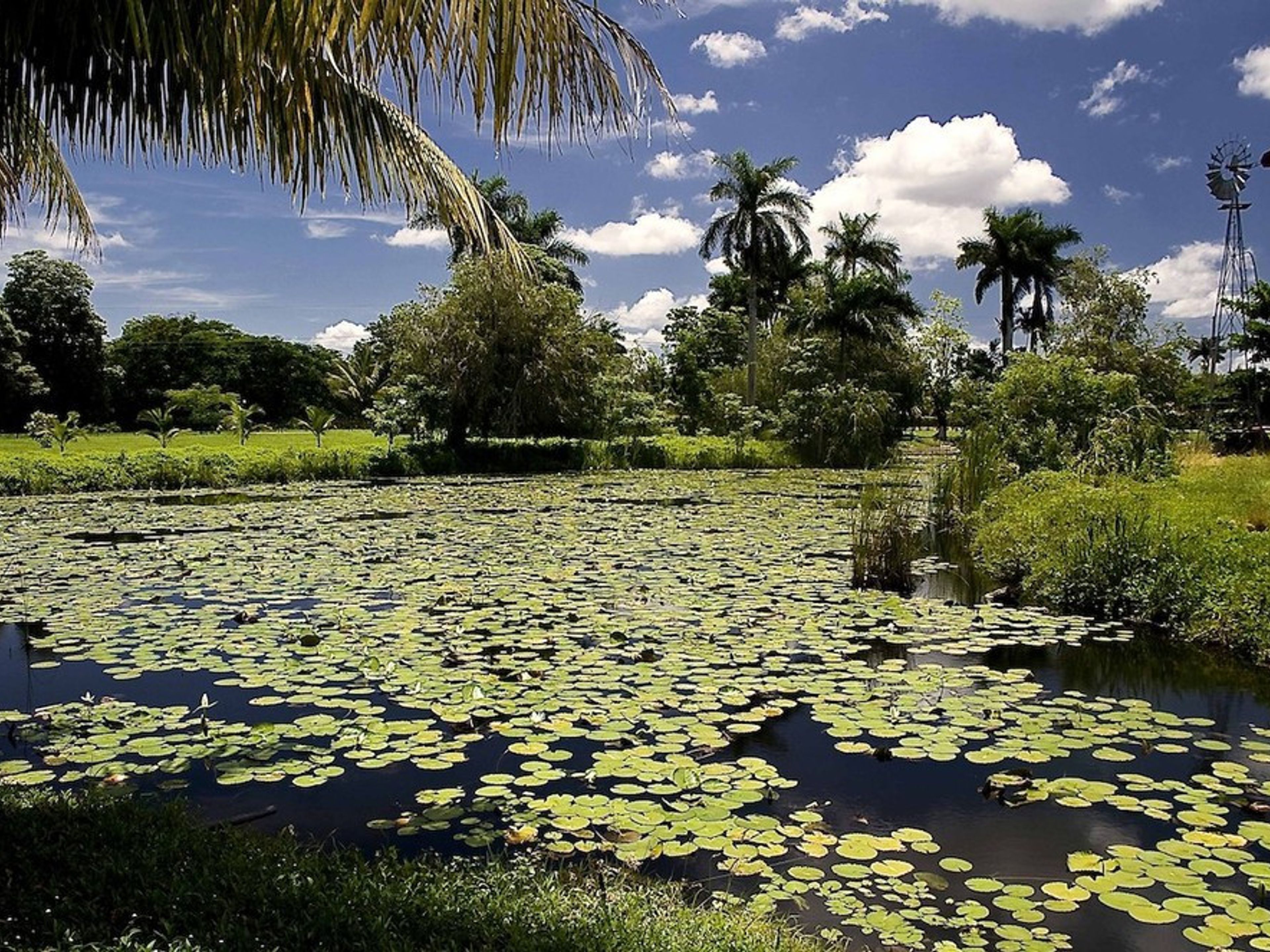 Tour "GUAMA E IL MARE DEI CARAIBI". Guamá tourist park panoramic view, Península de Zapata, Matanzas, Cuba.