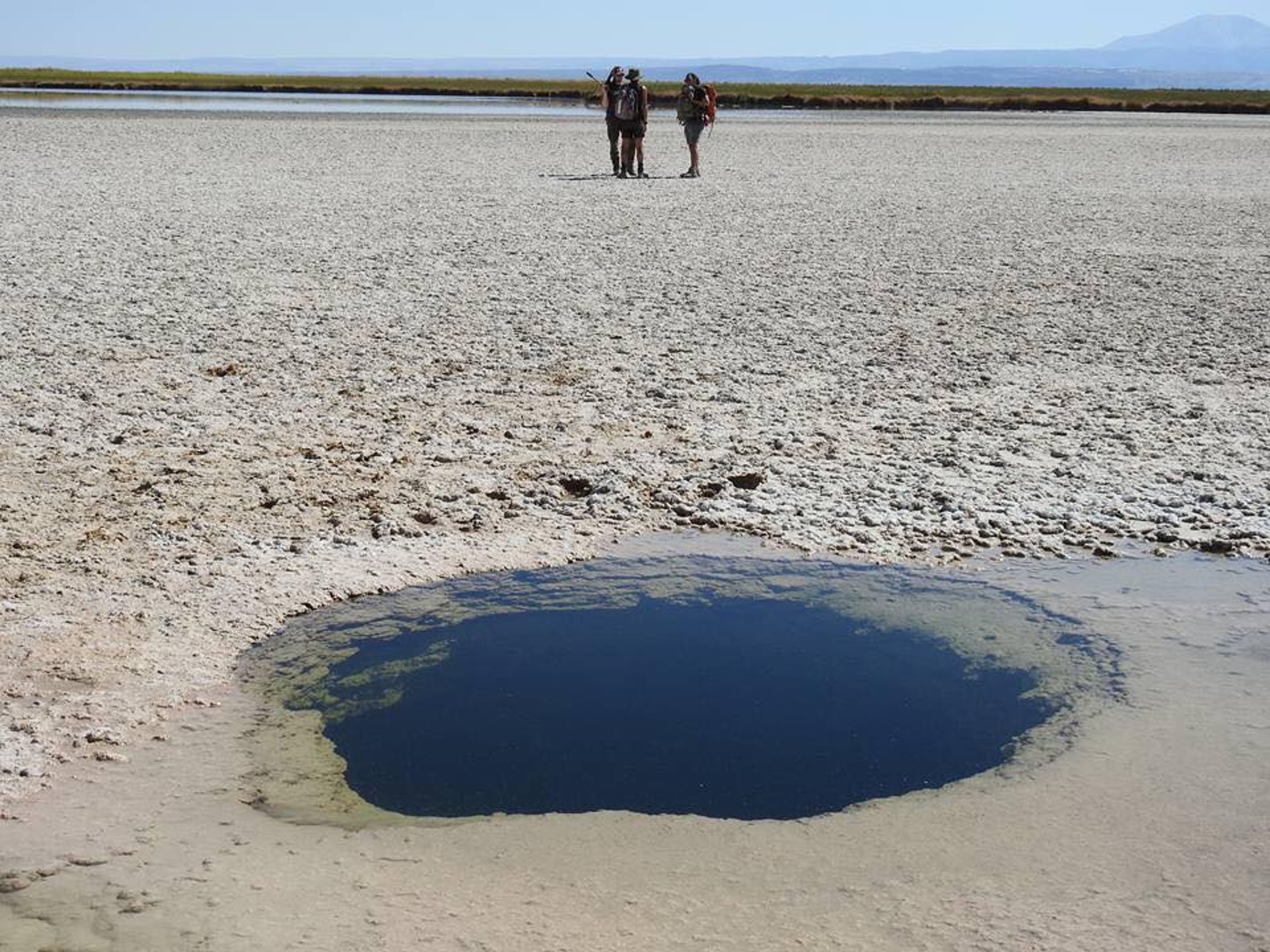 “CEJAR LAGOON” TOUR. Eyes of the Salar,  "CEJAR LAGOON" TOUR