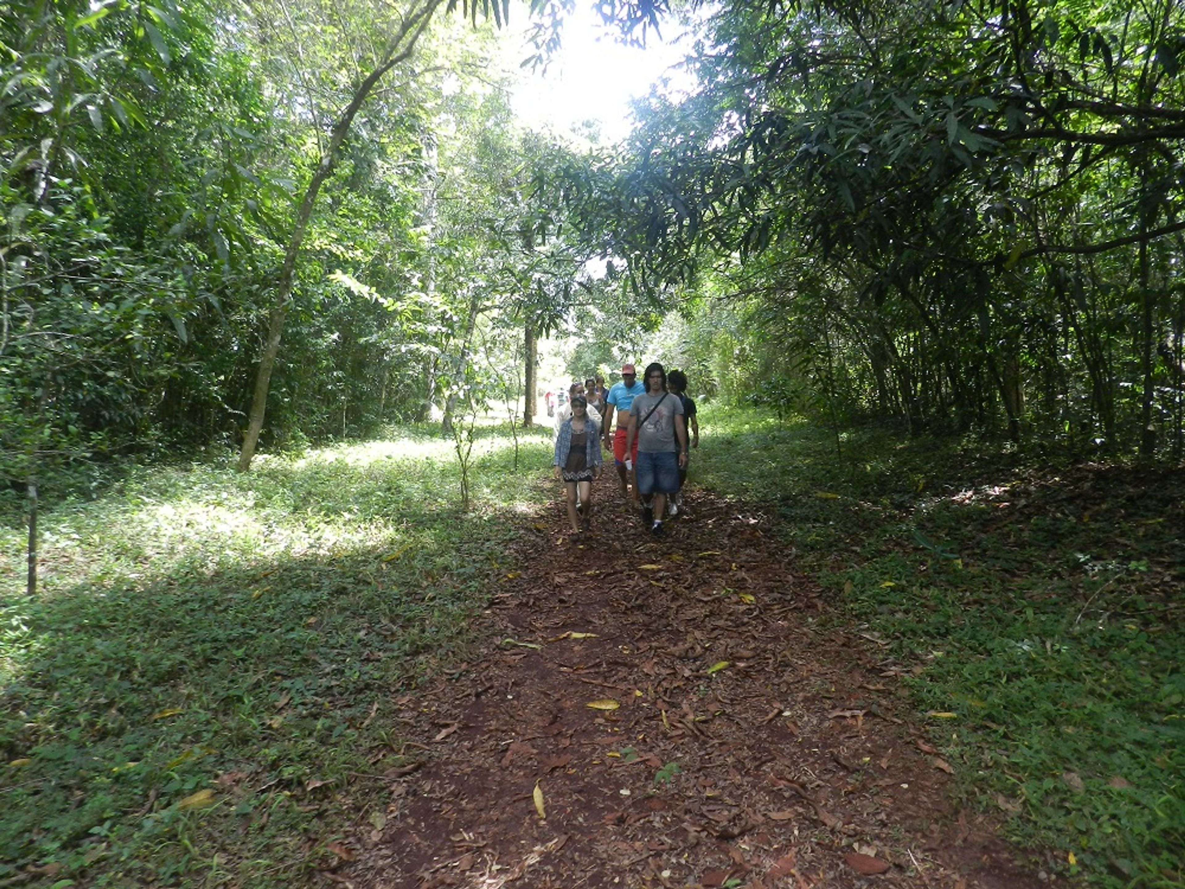 "ECOLOGICAL RESERVE LIMONES - TUABAQUEY, SIERRAS DE CUBITAS" Tour. Limones Tuabaquey Ecological Reserve, Sierra de Cubitas, Camagüey, Cuba.