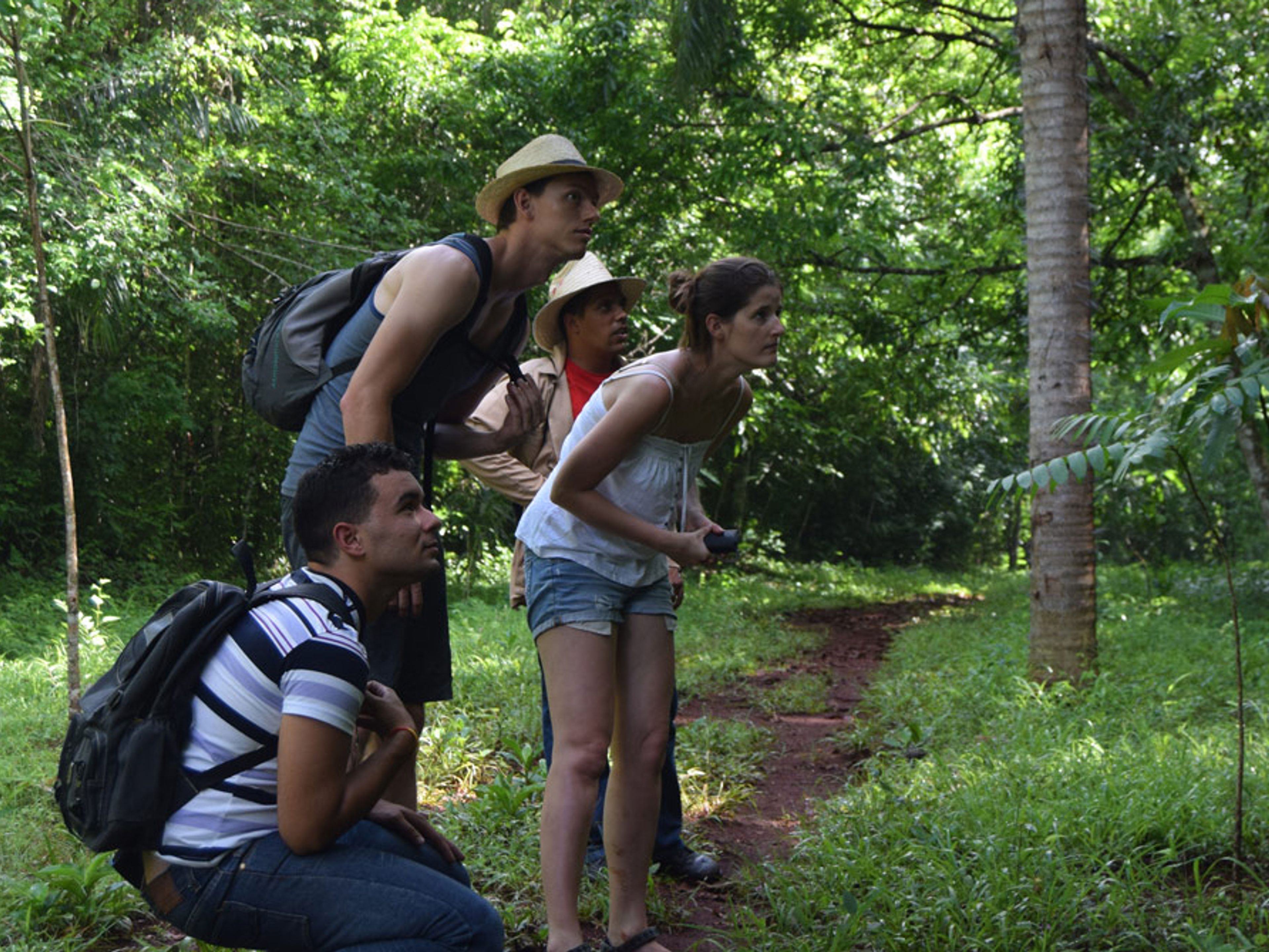 Excursión "RESERVA ECOLÓGICA LIMONES - TUABAQUEY, SIERRA DE CUBITAS". Limones Tuabaquey Ecological Reserve, Sierra de Cubitas, Camagüey, Cuba.