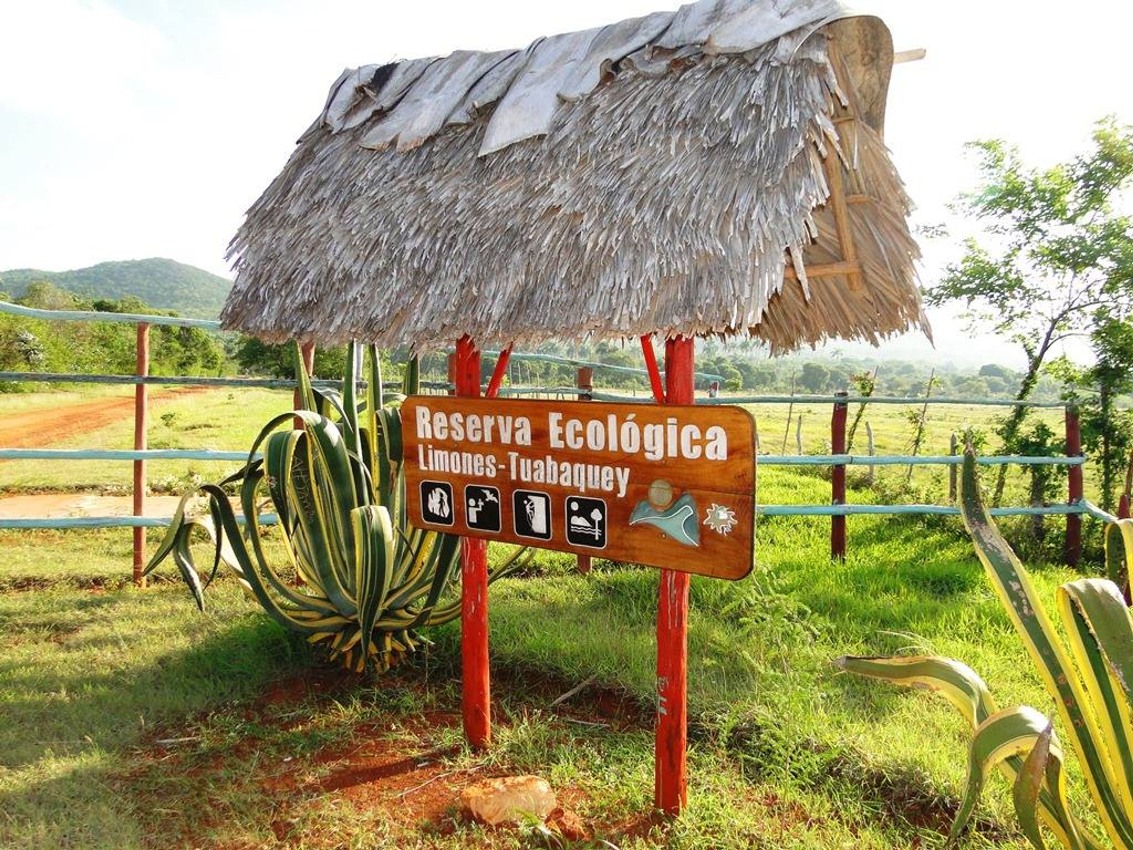 Excursión "RESERVA ECOLÓGICA LIMONES - TUABAQUEY, SIERRA DE CUBITAS"