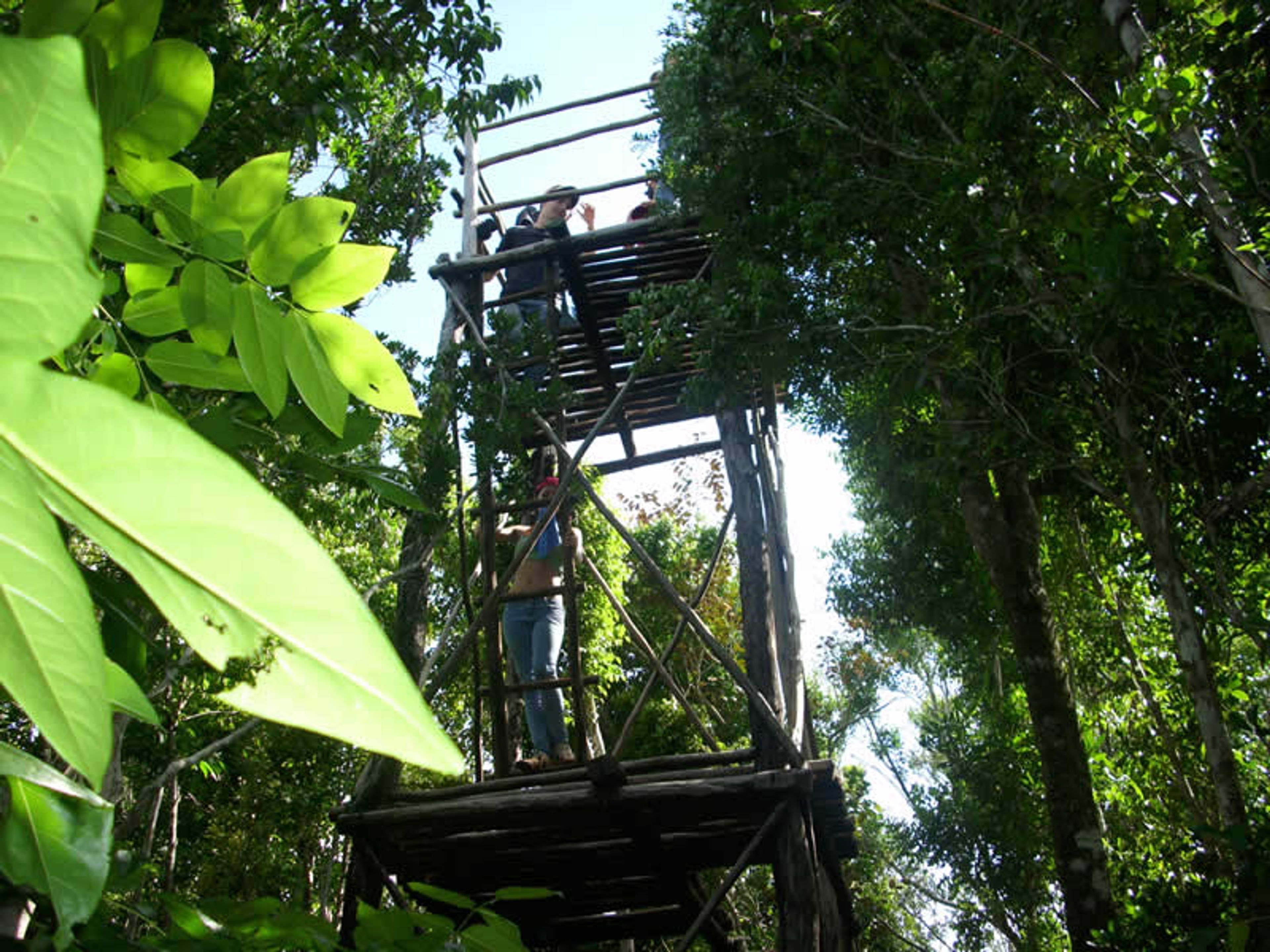 Excursión "RESERVA ECOLÓGICA LIMONES - TUABAQUEY, SIERRA DE CUBITAS". Limones Tuabaquey Ecological Reserve, Sierra de Cubitas, Camagüey, Cuba.