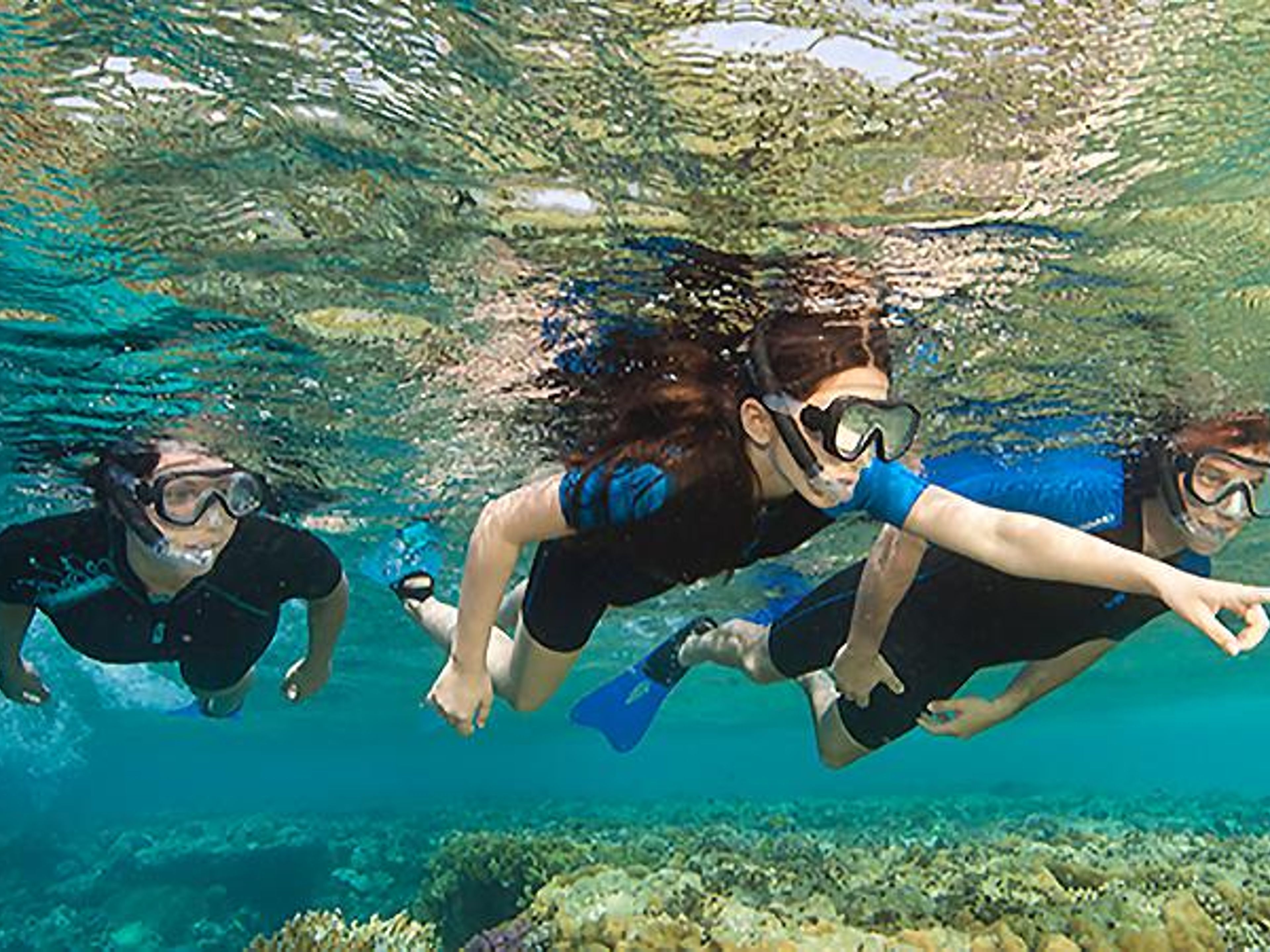 Tour "AVENTURE BLEUE". Snorkeling in coral reef, Blue Adventure, Holguin