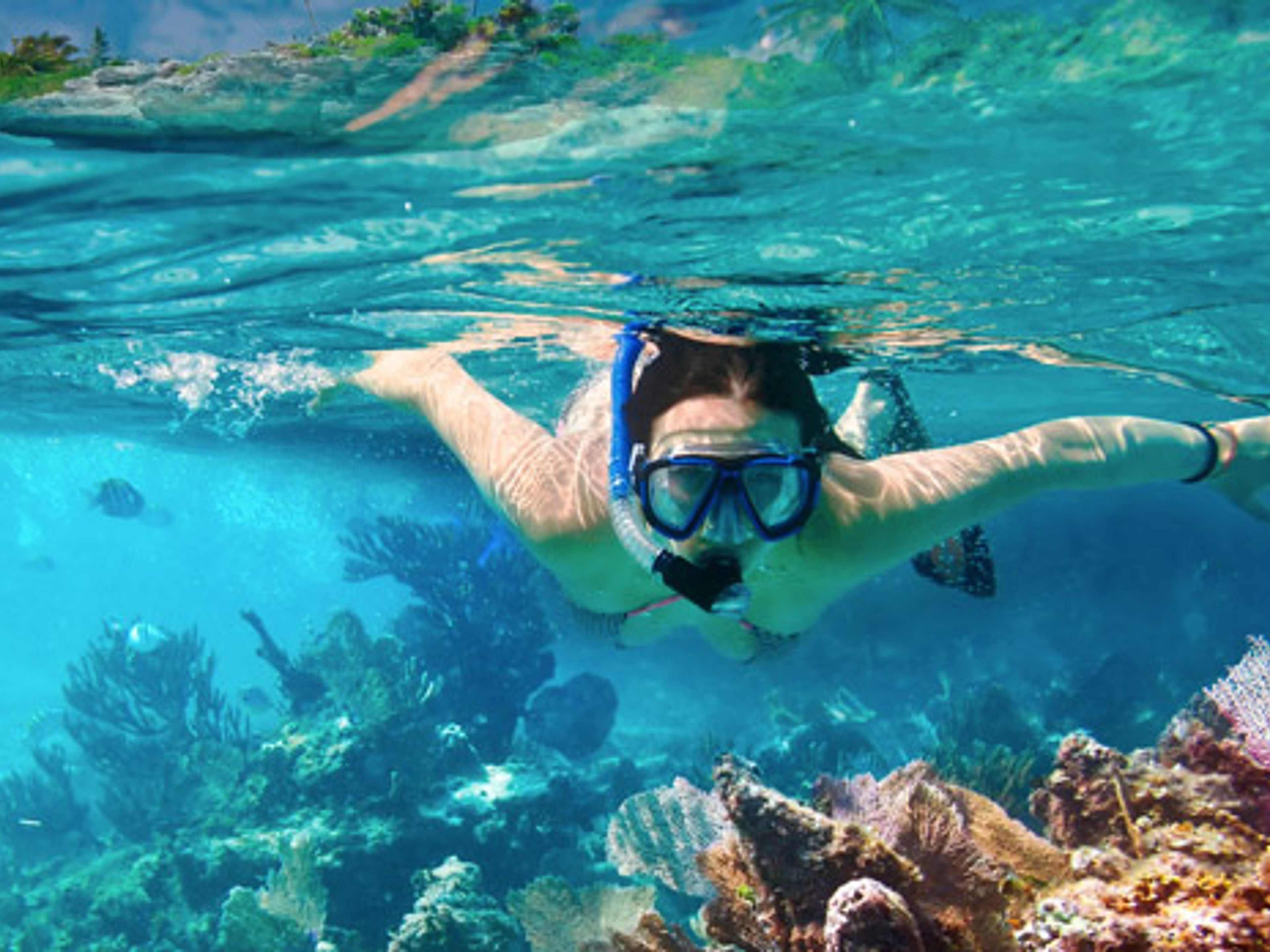 Excursión "AVENTURA AZUL". Snorkeling in coral reef, Blue Adventure, Holguin