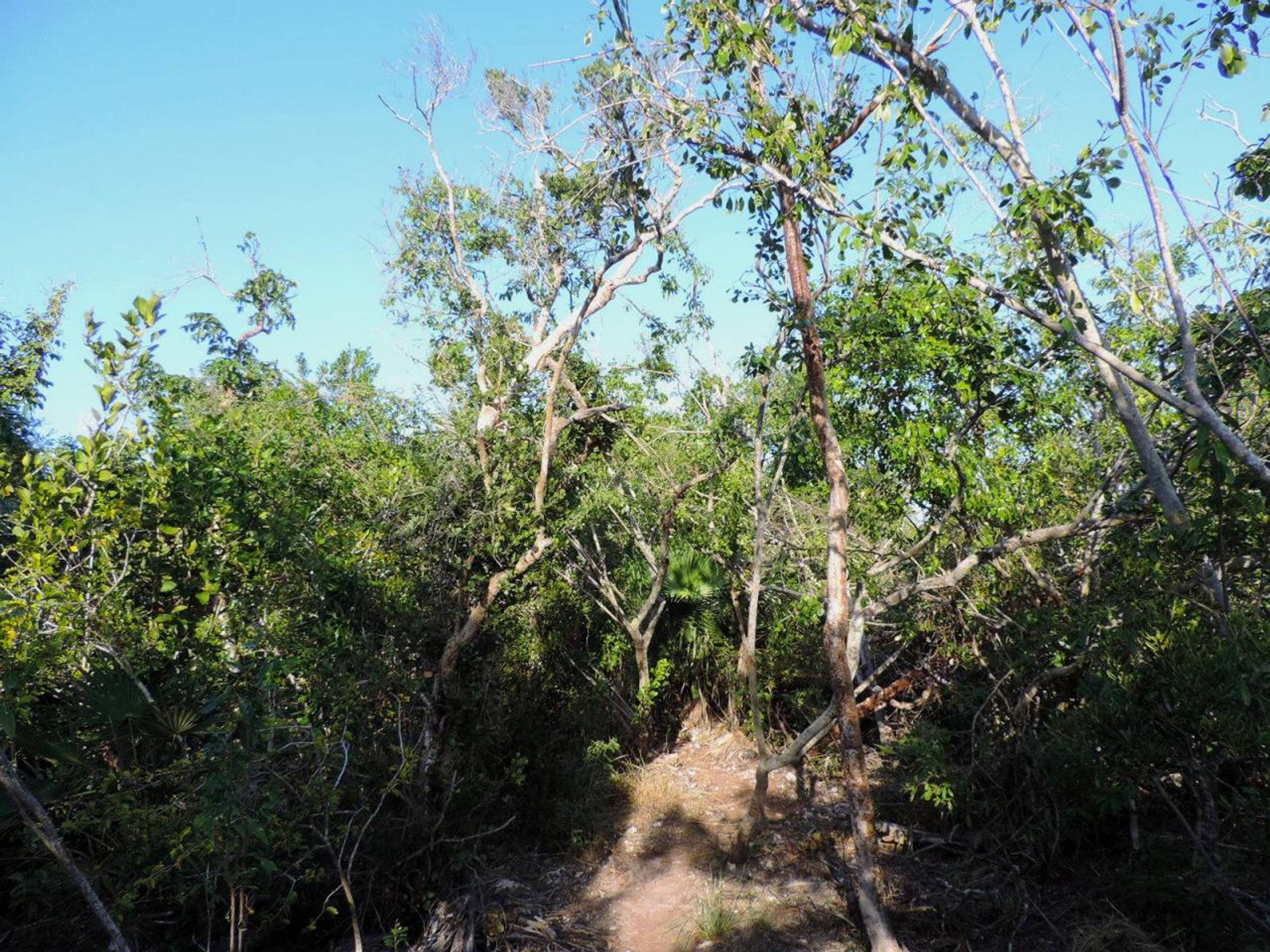 Tour "AVVENTURA A CAYO SANTA MARÍA". Cayo Santa María protected area, Cayo Santa María, Villa Clara, Cuba.