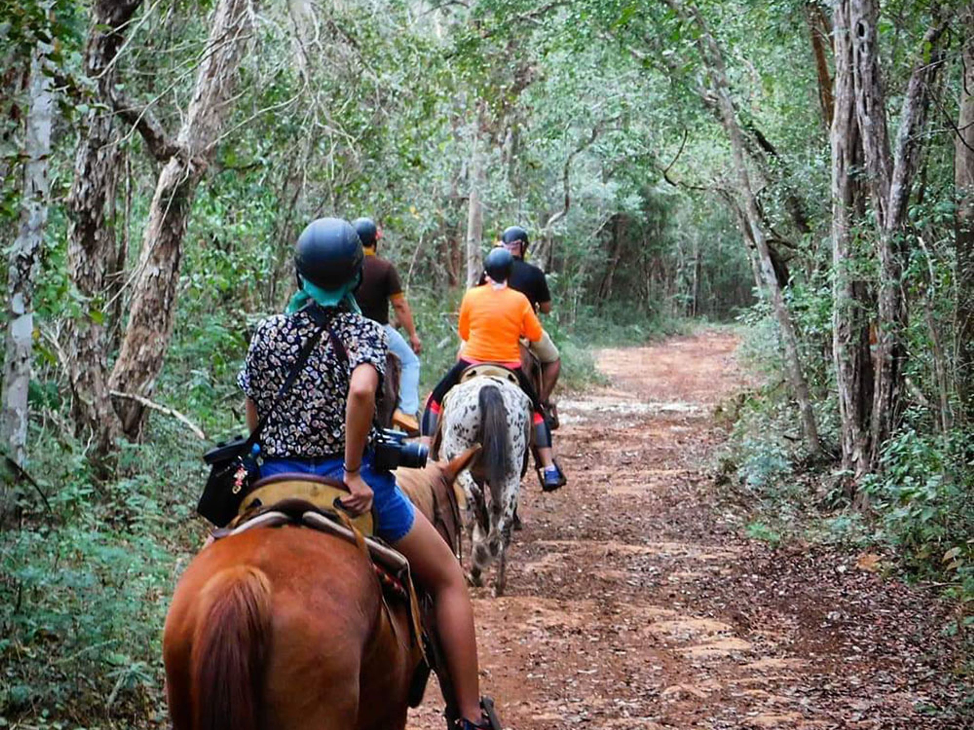 "Reiten in Chichen Adventure" Tour. Horse ride, fun and interesting in Chichen Adventure Park. Chichen Itza, Yucatan Peninsula