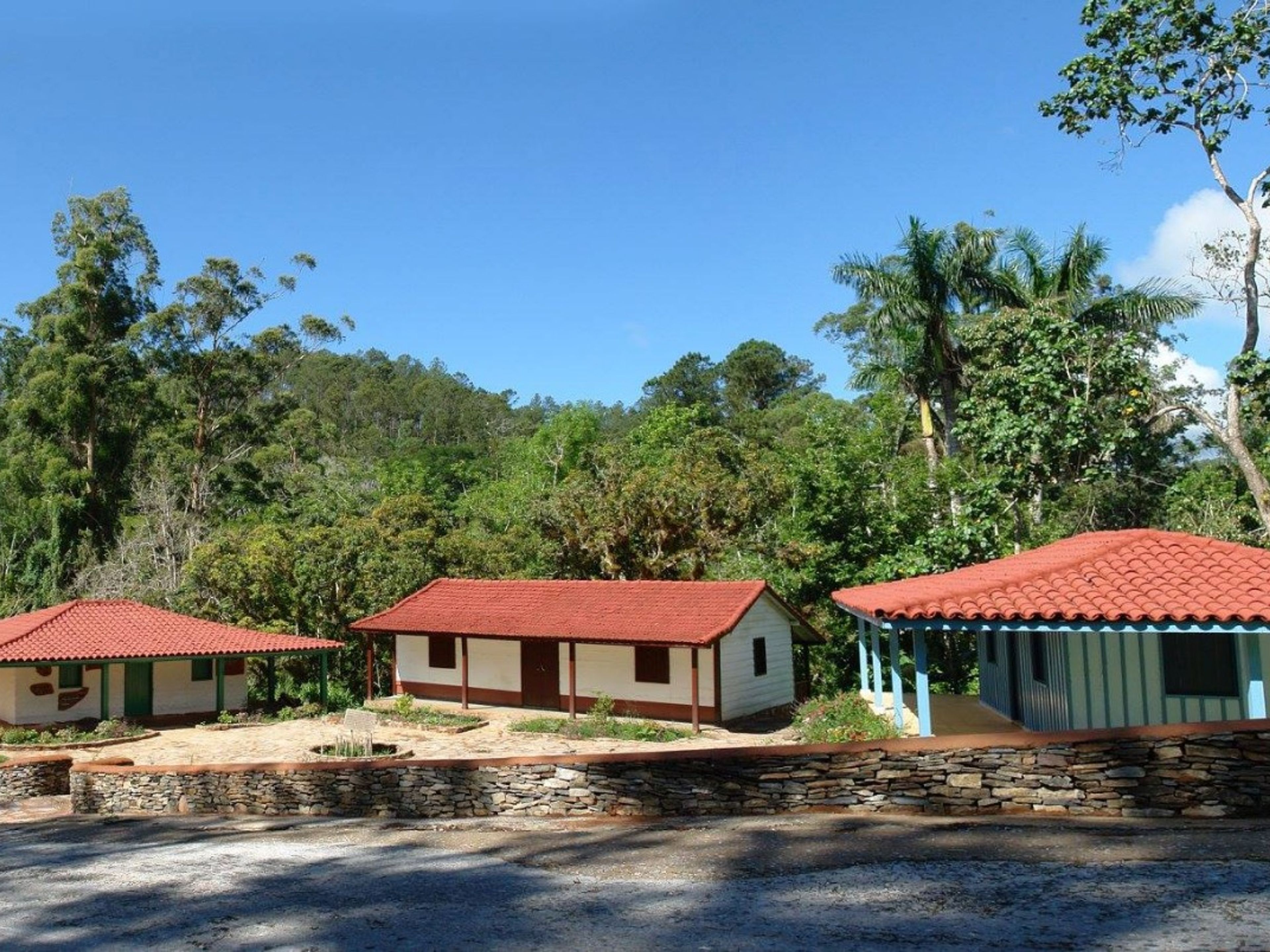 “Ride to Valley of the Topes de Collantes Natural Park in Old Fashion American Classic Cars” Tour