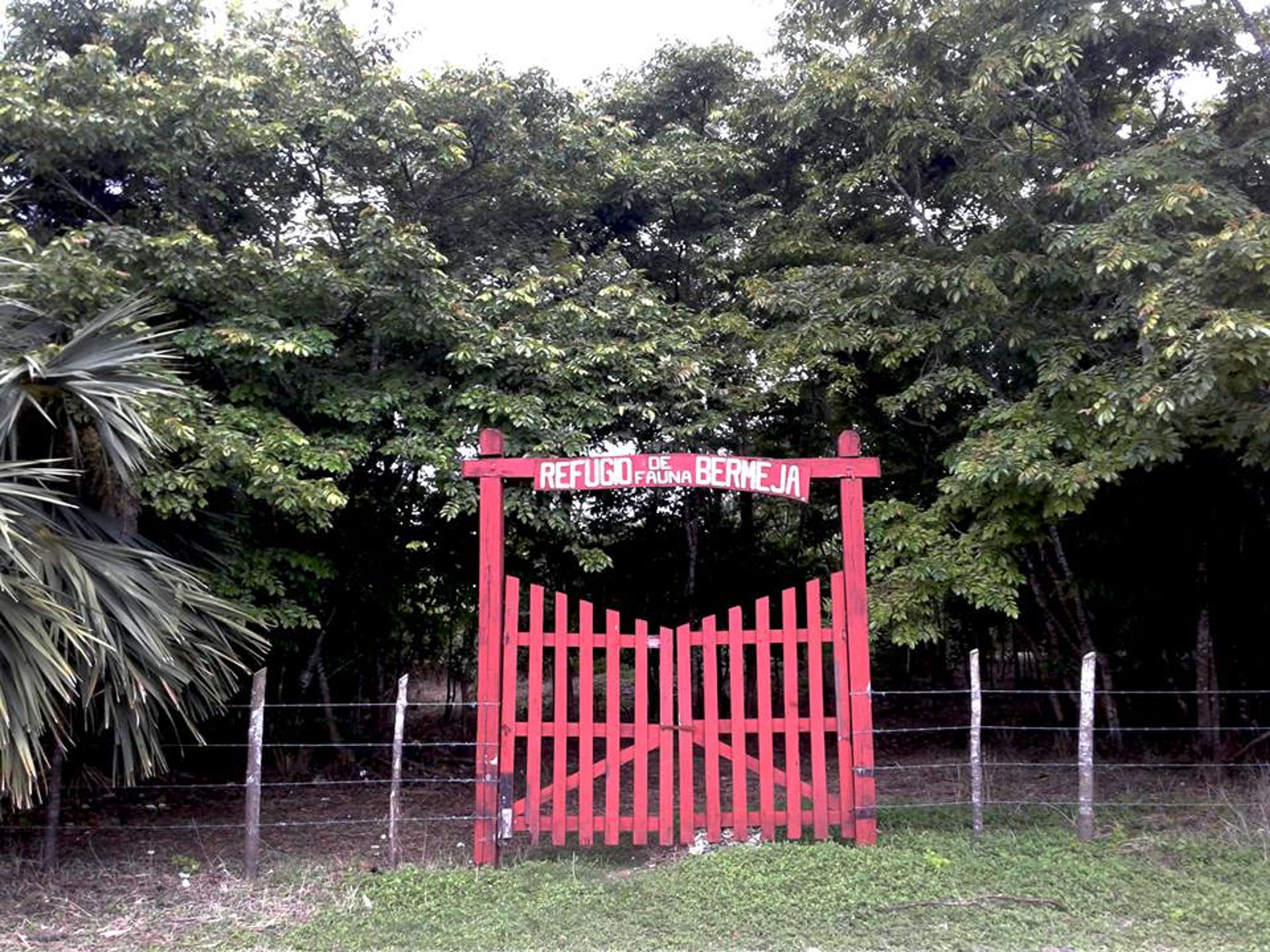 Tour "TREKKING E OSSERVAZIONE DEGLI UCCELLI A BERMEJAS". "HIKING AND BIRD WATCHING AT BERMEJAS" Tour, Zapata peninsula, Matanzas, Cuba,