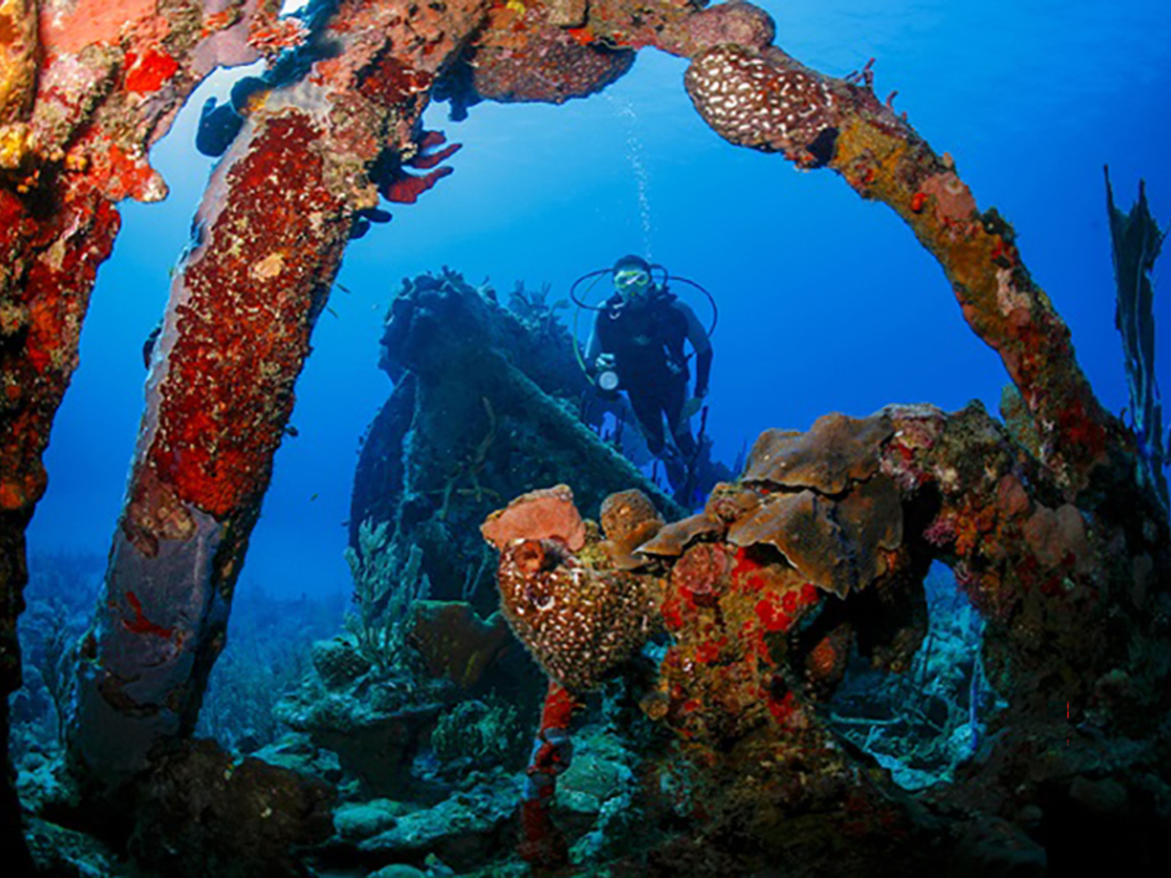 Scuba Diving in Wrecks of the Hispanic - Cuban and North American War of 1898. "DESTROYER FUROR".. DIVING IN WRECKS OF THE HISPANIC - CUBAN - NORTH AMERICAN WAR OF 1898. "FUROR DESTROYER"