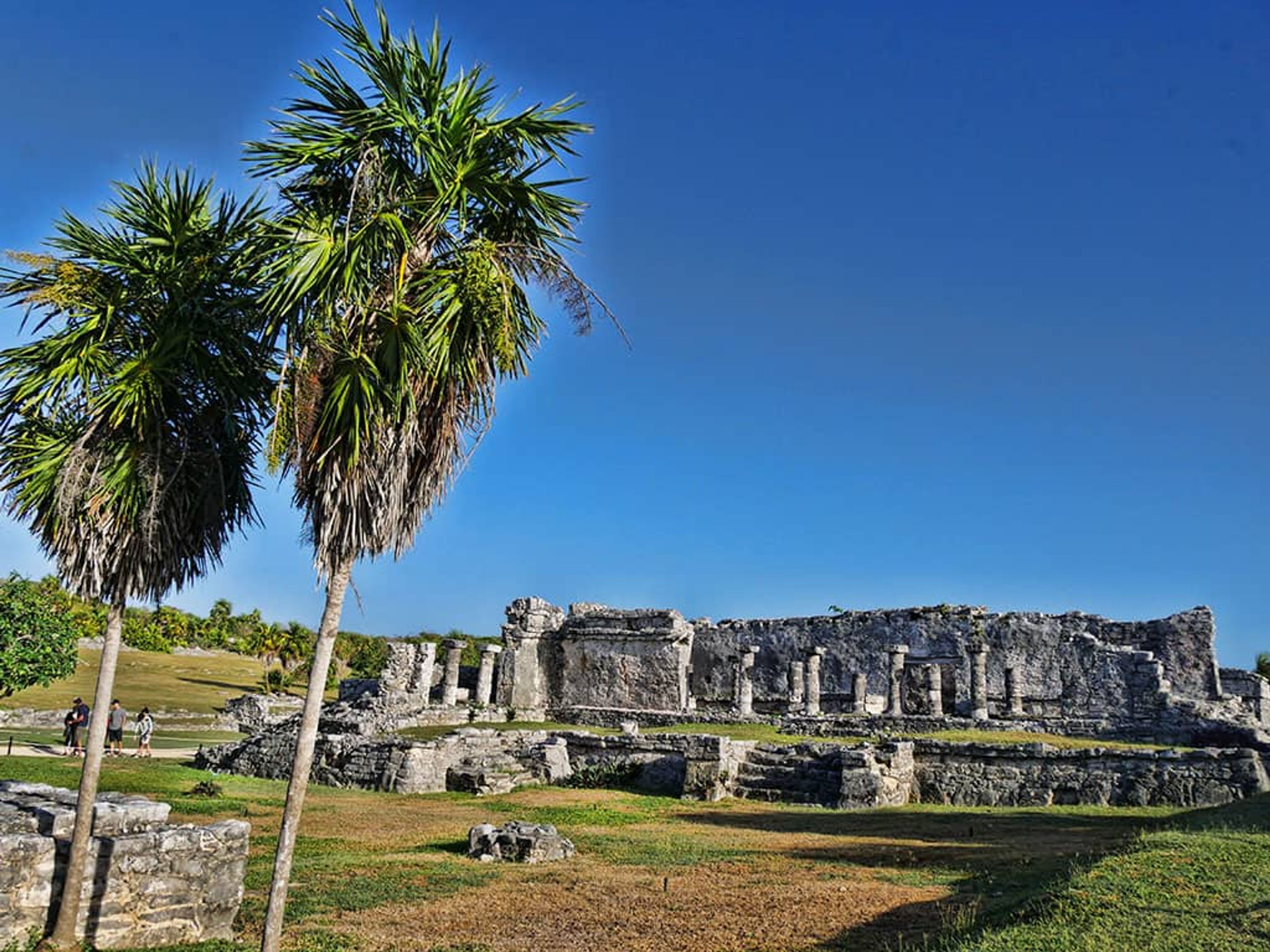 Tour "Privado de Tulum"