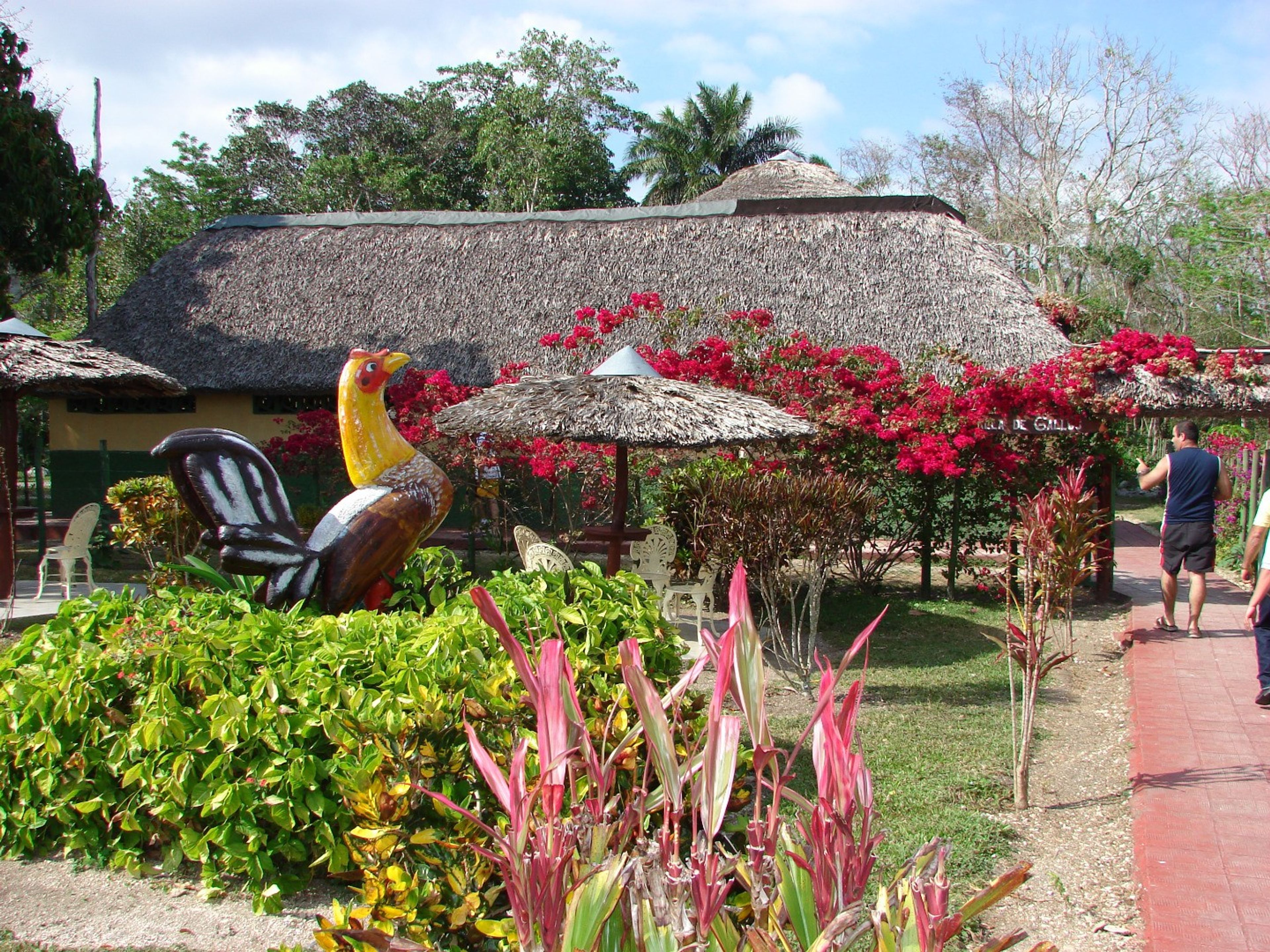 Excursão “JEEP SAFARI”. Meneses farm, Yaguajay, Sancti Spíritus