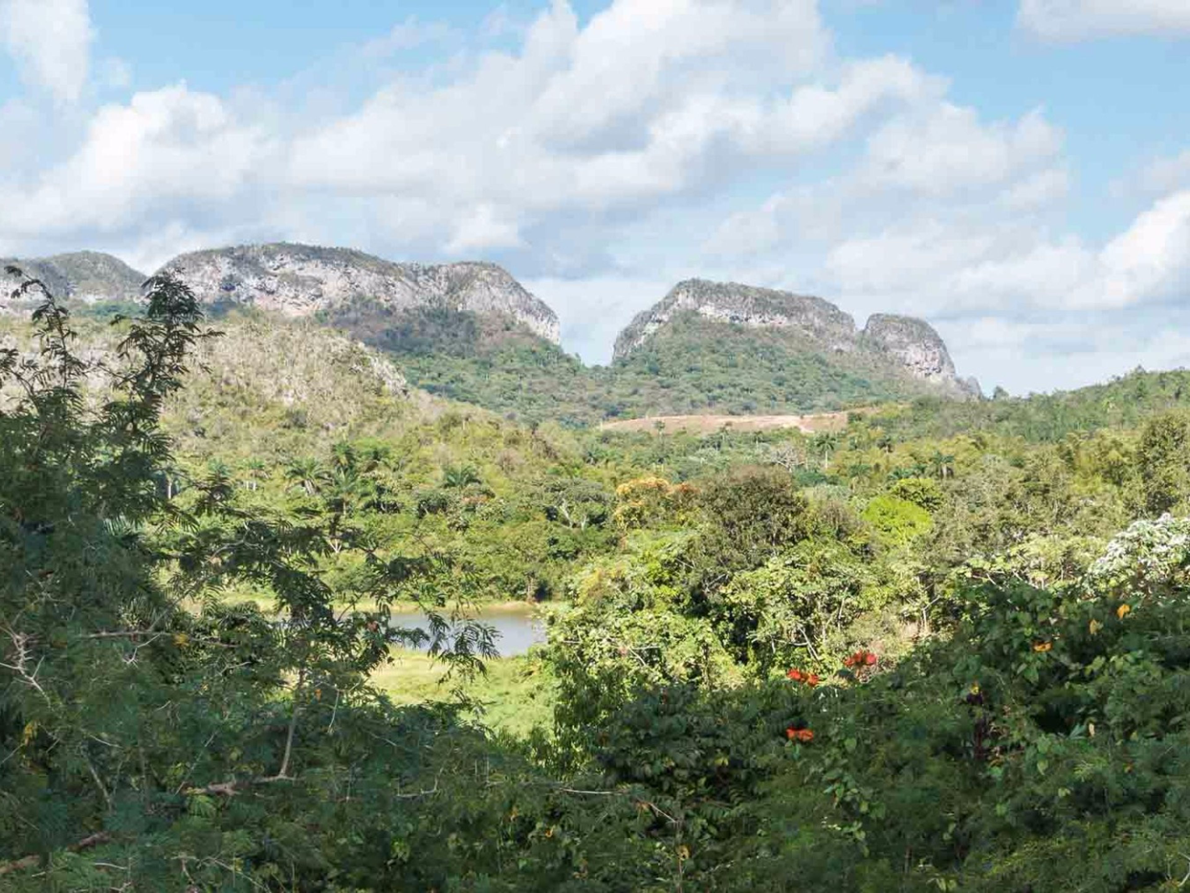 Tour privé d'une journée "La Havane - Viñales 2". Viñales valley National Park panoramic view, Pinar del Río