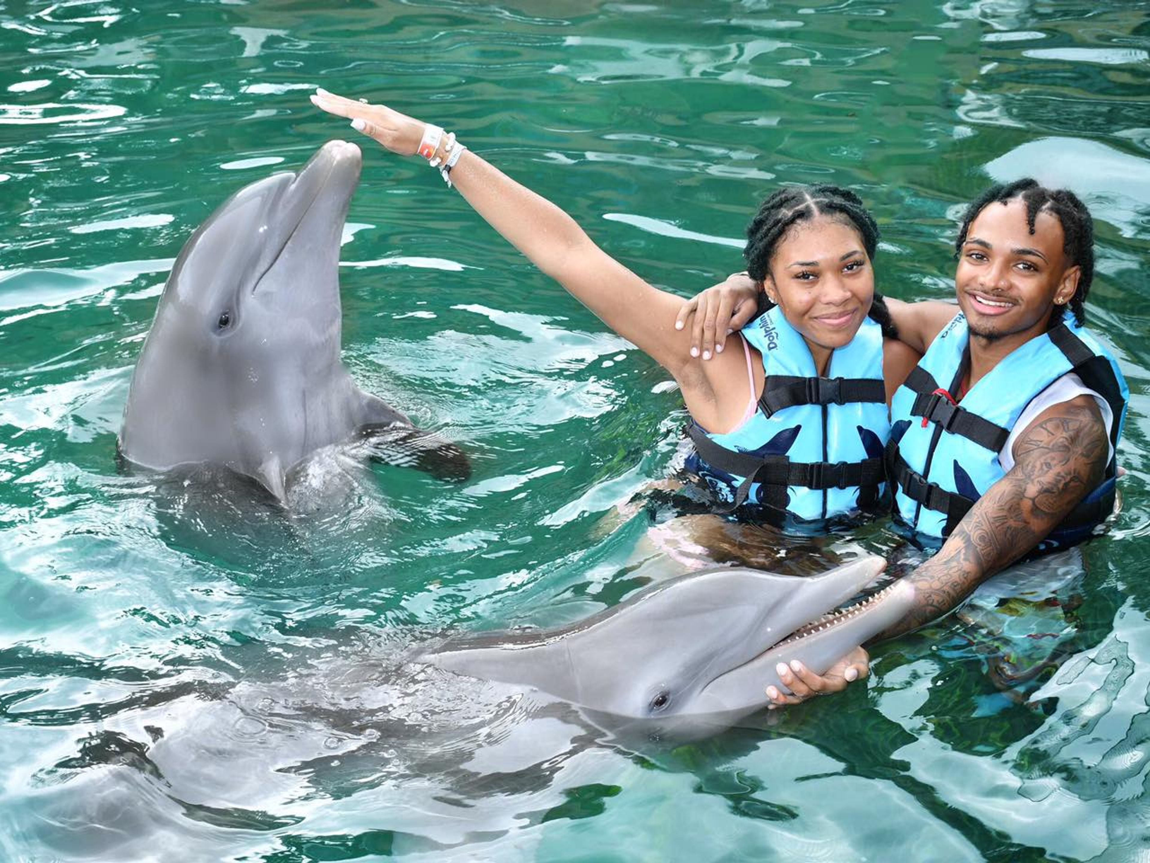 Excursão "Golfinhos Royal Swim em Riviera Maya". "Dolphins Royal Swim in Riviera Maya" Tour
