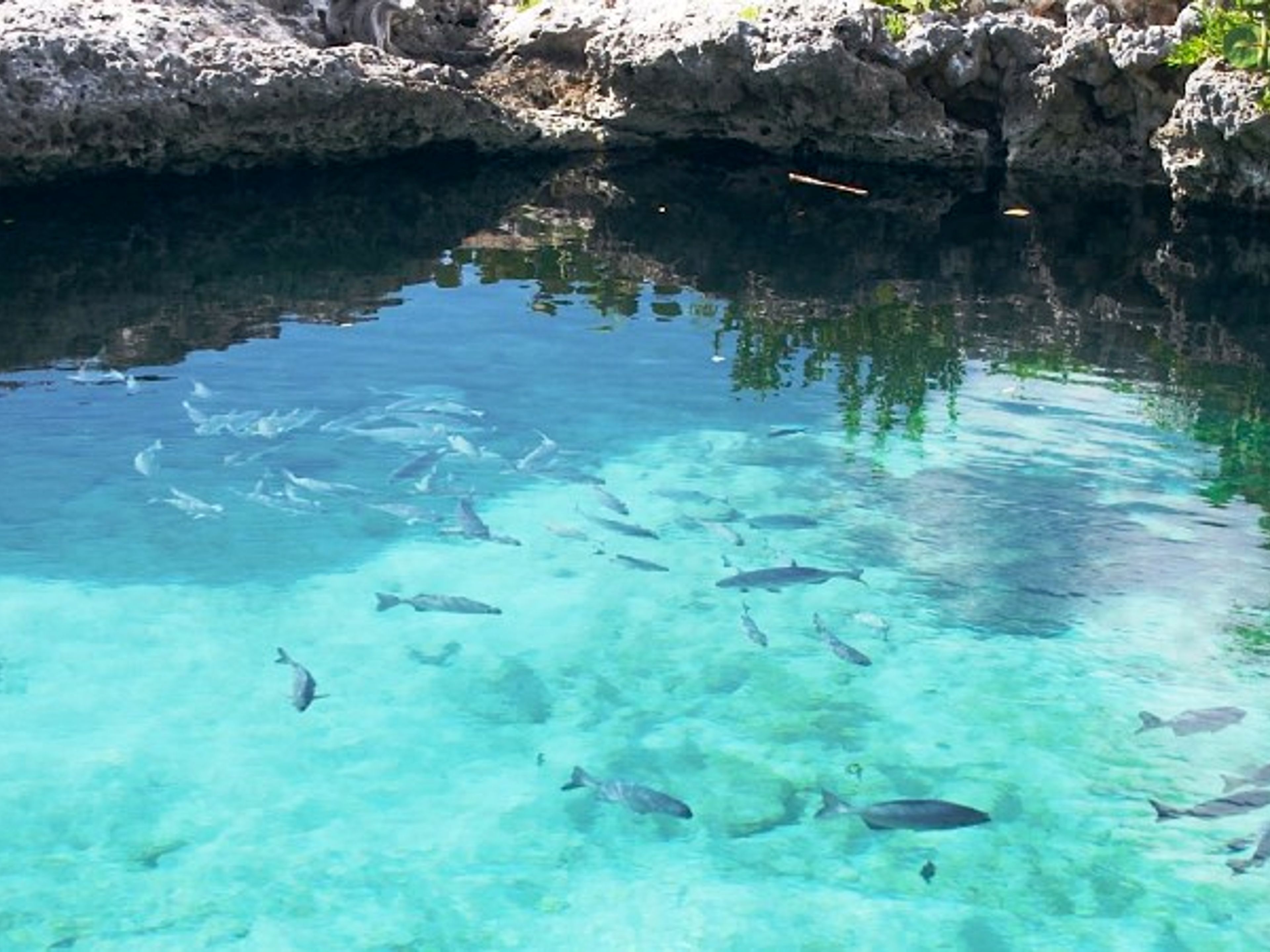 Excursión Ciénaga de Zapata y Playa Girón:  una combinación perfecta entre Historia y Naturaleza. Crystal clear waters and white sands can be found in Playa Girón.