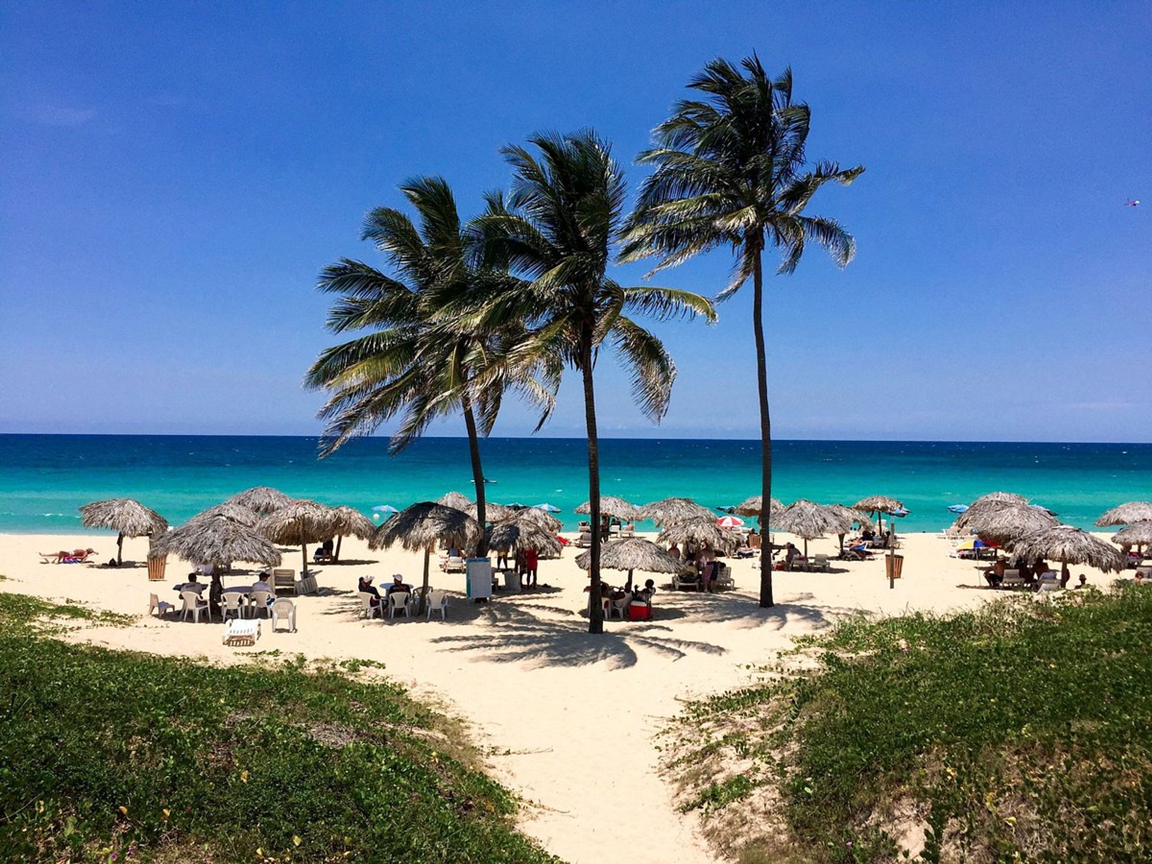 "ONE DAY IN PLAYAS DEL ESTE" Tour
