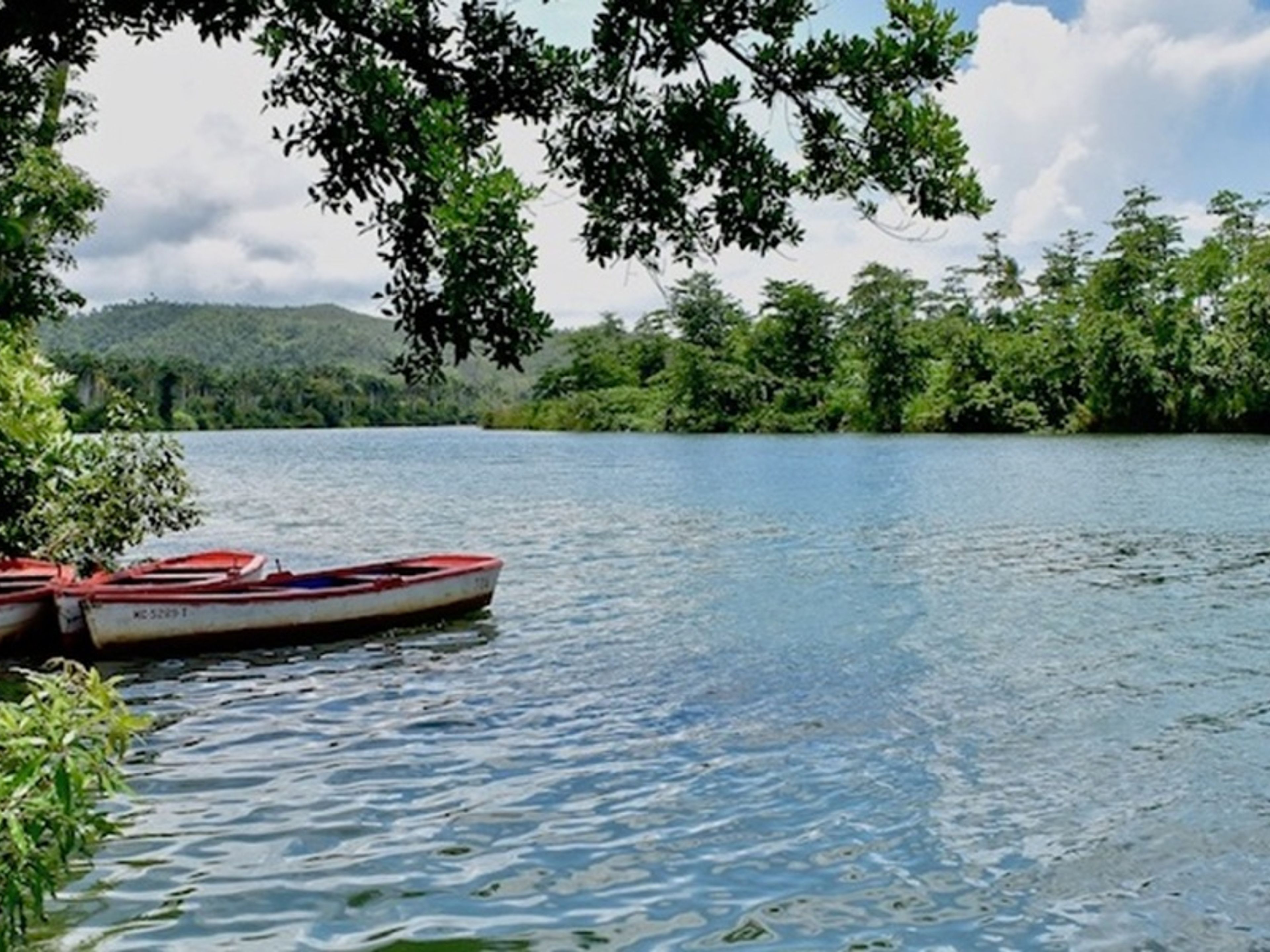 Jeep Safari "RISERVA DELLA BIOSFERA DI CUCHILLAS DEL TOA". Jeep Safari “CUCHILLAS DEL TOA BIOSPHERE RESERVE”, Baracoa, Guantánamo, Cuba.