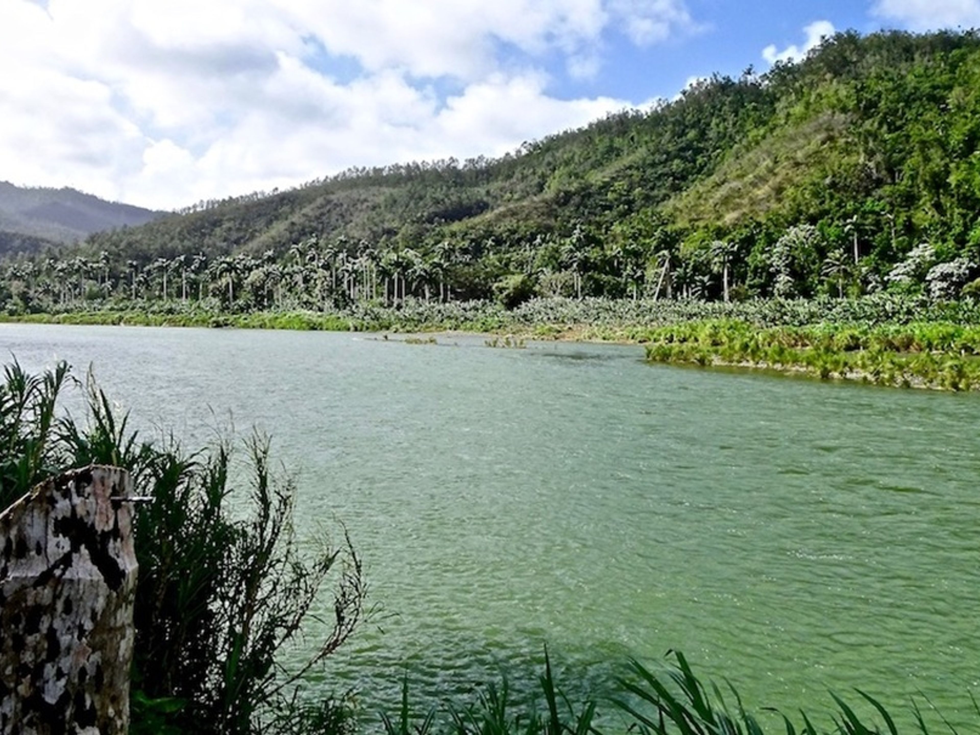 Jeep Safari "RISERVA DELLA BIOSFERA DI CUCHILLAS DEL TOA". Jeep Safari “CUCHILLAS DEL TOA BIOSPHERE RESERVE”, Baracoa, Guantánamo, Cuba.