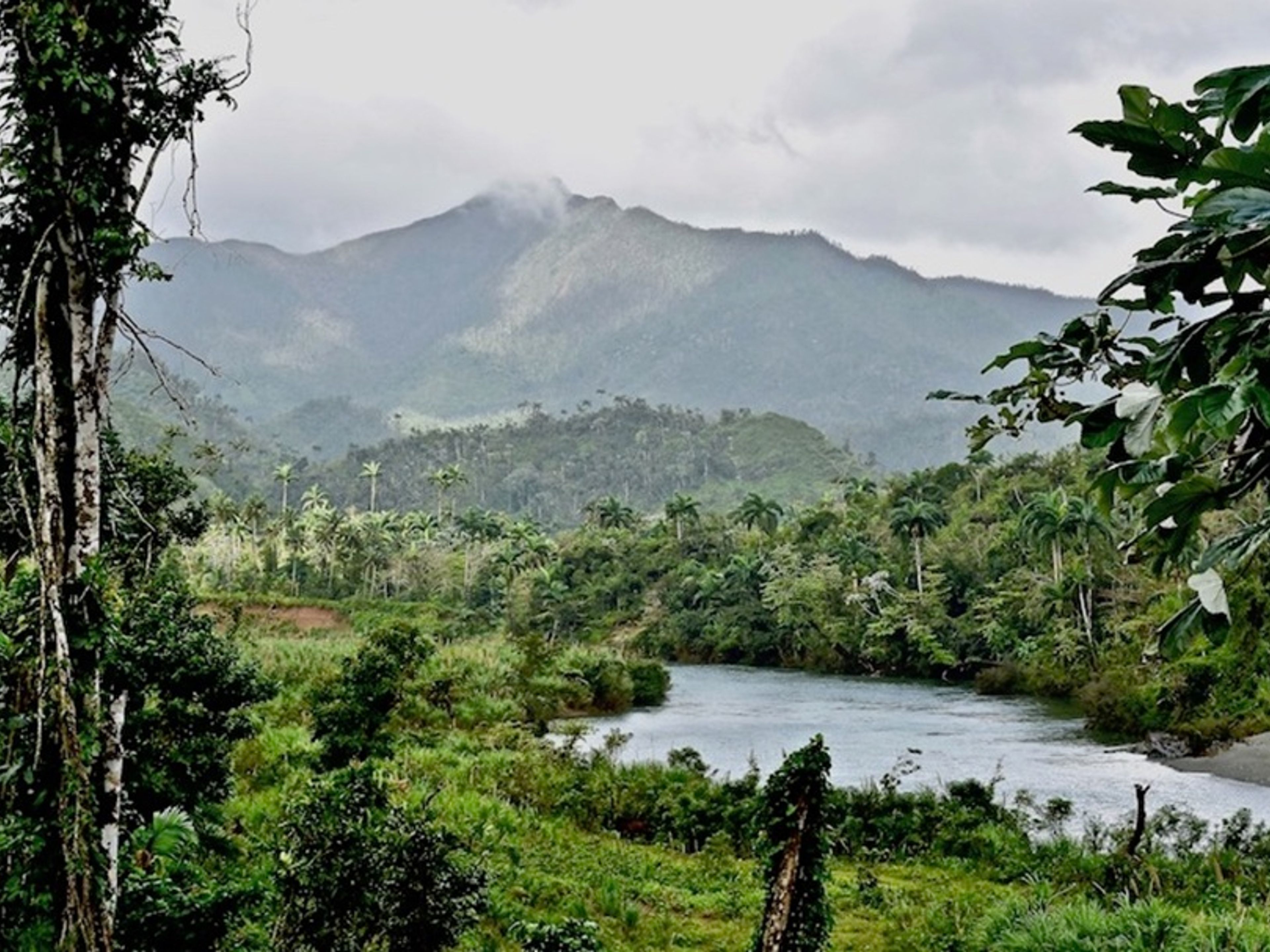Jeep Safari "RISERVA DELLA BIOSFERA DI CUCHILLAS DEL TOA"