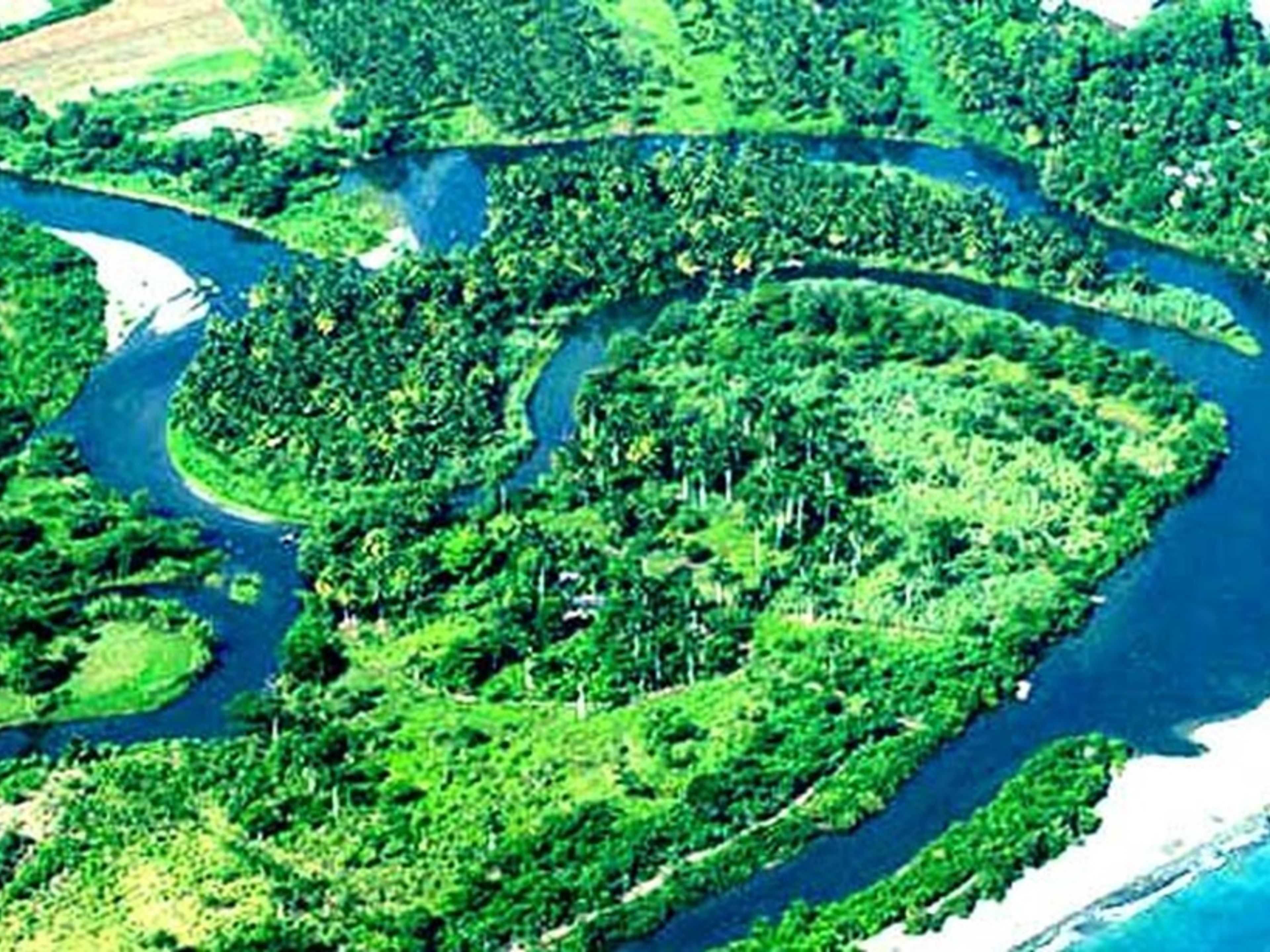 Jeep Safari "RISERVA DELLA BIOSFERA DI CUCHILLAS DEL TOA". Jeep Safari “CUCHILLAS DEL TOA BIOSPHERE RESERVE”, Baracoa, Guantánamo, Cuba.
