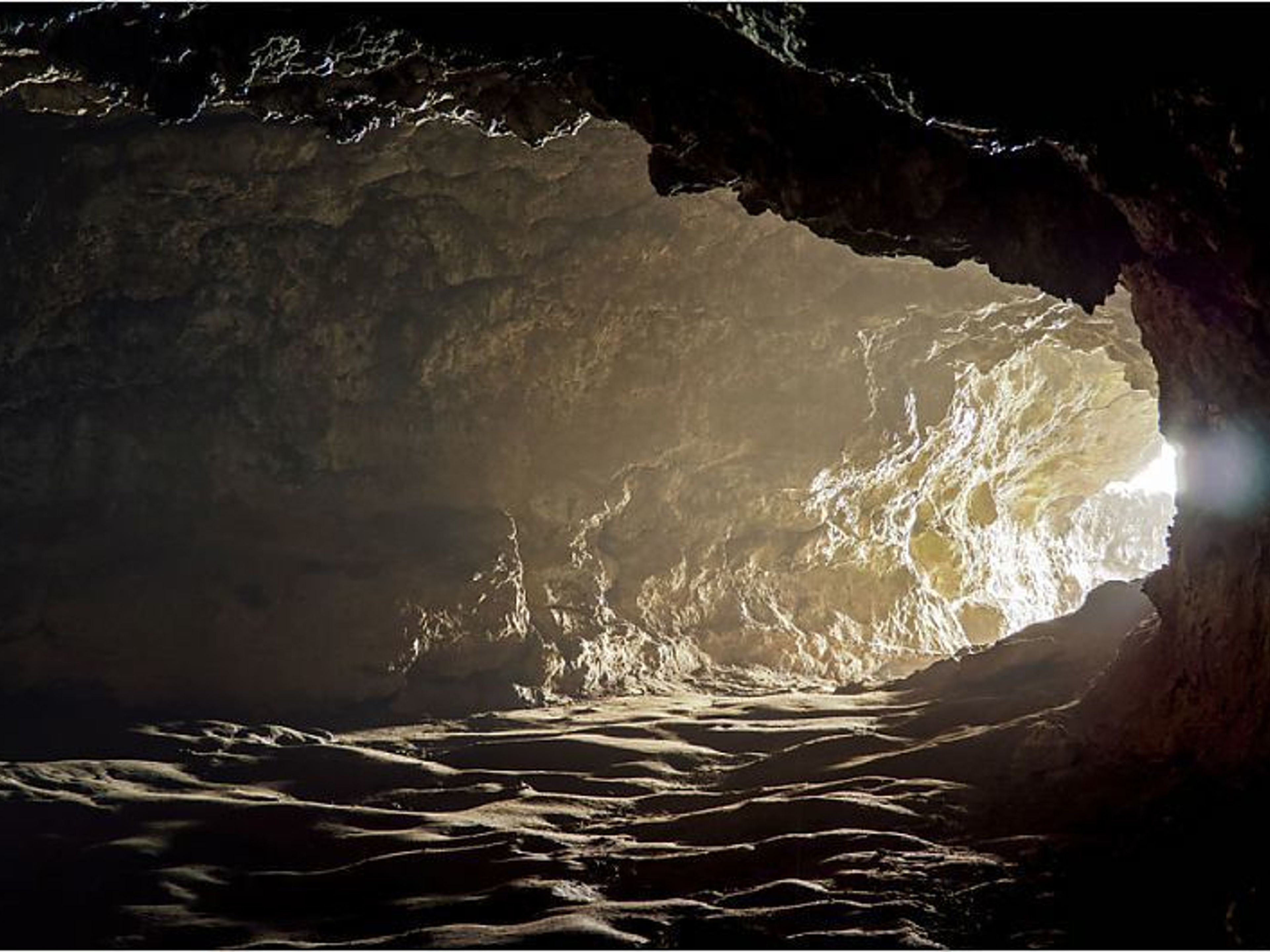 VISITE “CLASSE DE SURF DE RAPA NUI”.. null