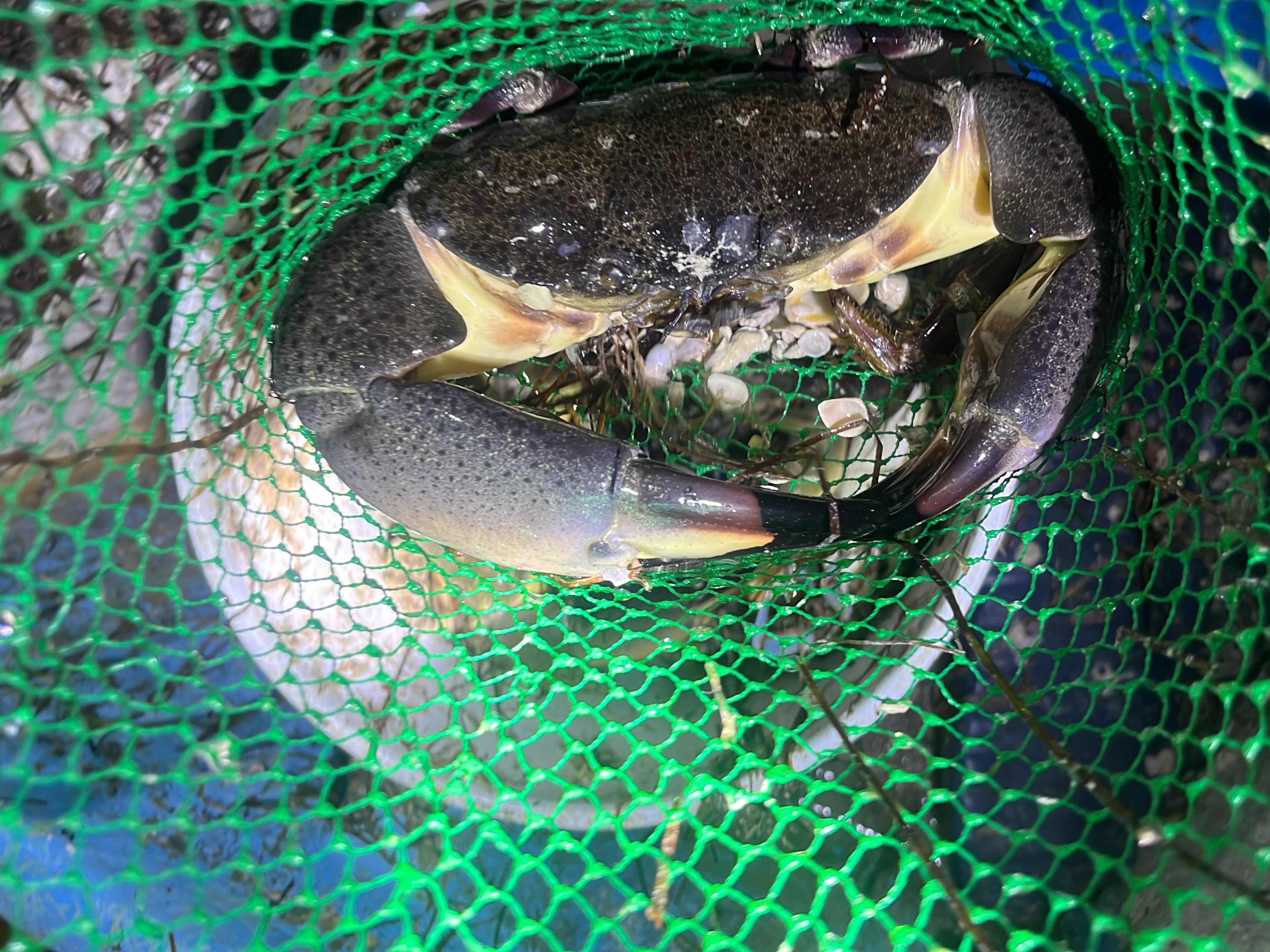 Tур "РЫБАЛКА В РИО-ЛАГАРТОС — 6 ЧАСОВ (СПИННИНГ / ТРОЛЛИНГ)". "RECREATIONAL FISHING TOUR IN RÍO LAGARTOS — 6 HOURS (SPINNING/TROLLING)" Tour