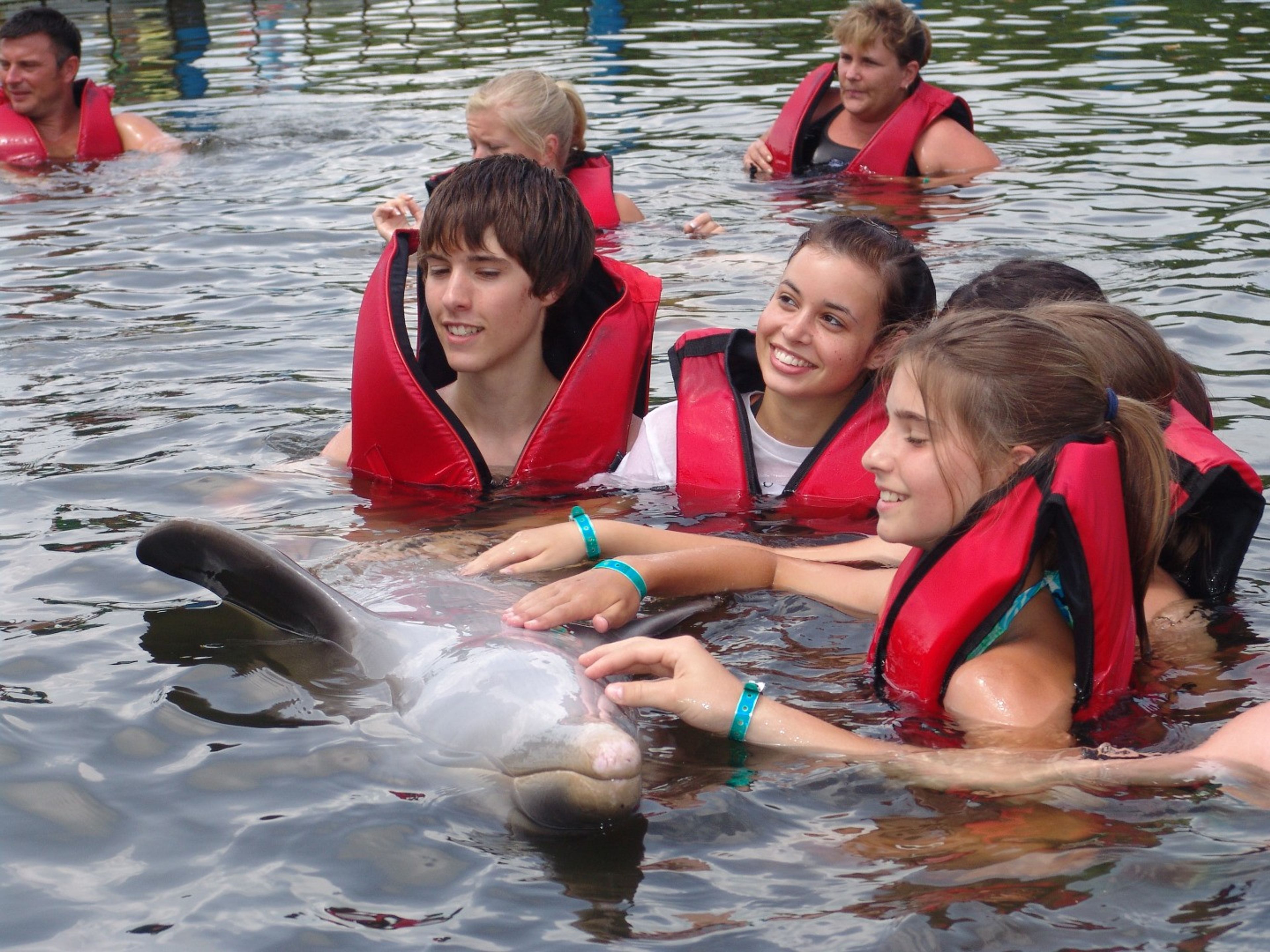 Tour “SEAFARI CAYO BLANCO“. Swimming with dolphins at Varadero dolphinarium