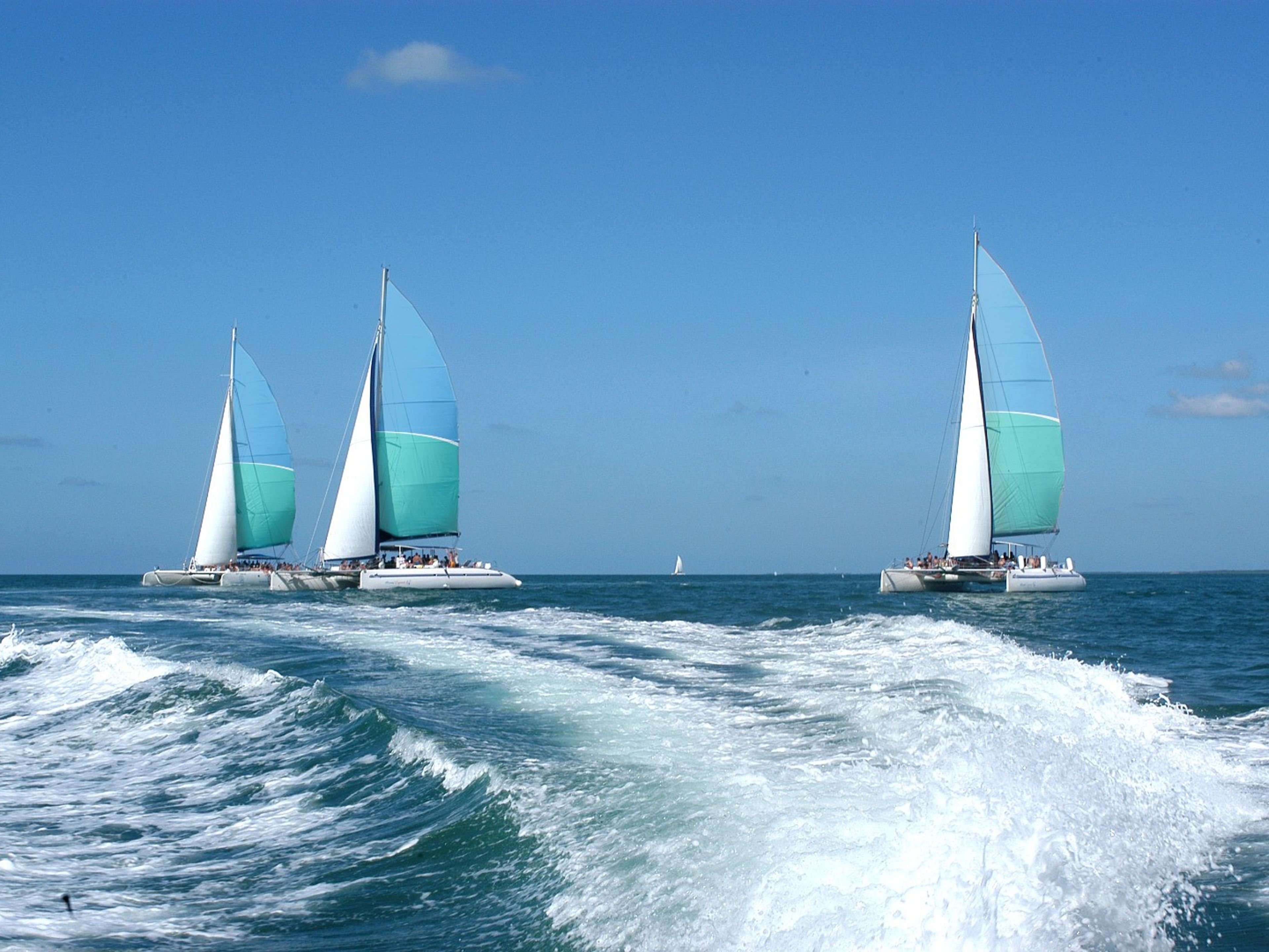 Tour “SEAFARI CAYO BLANCO“