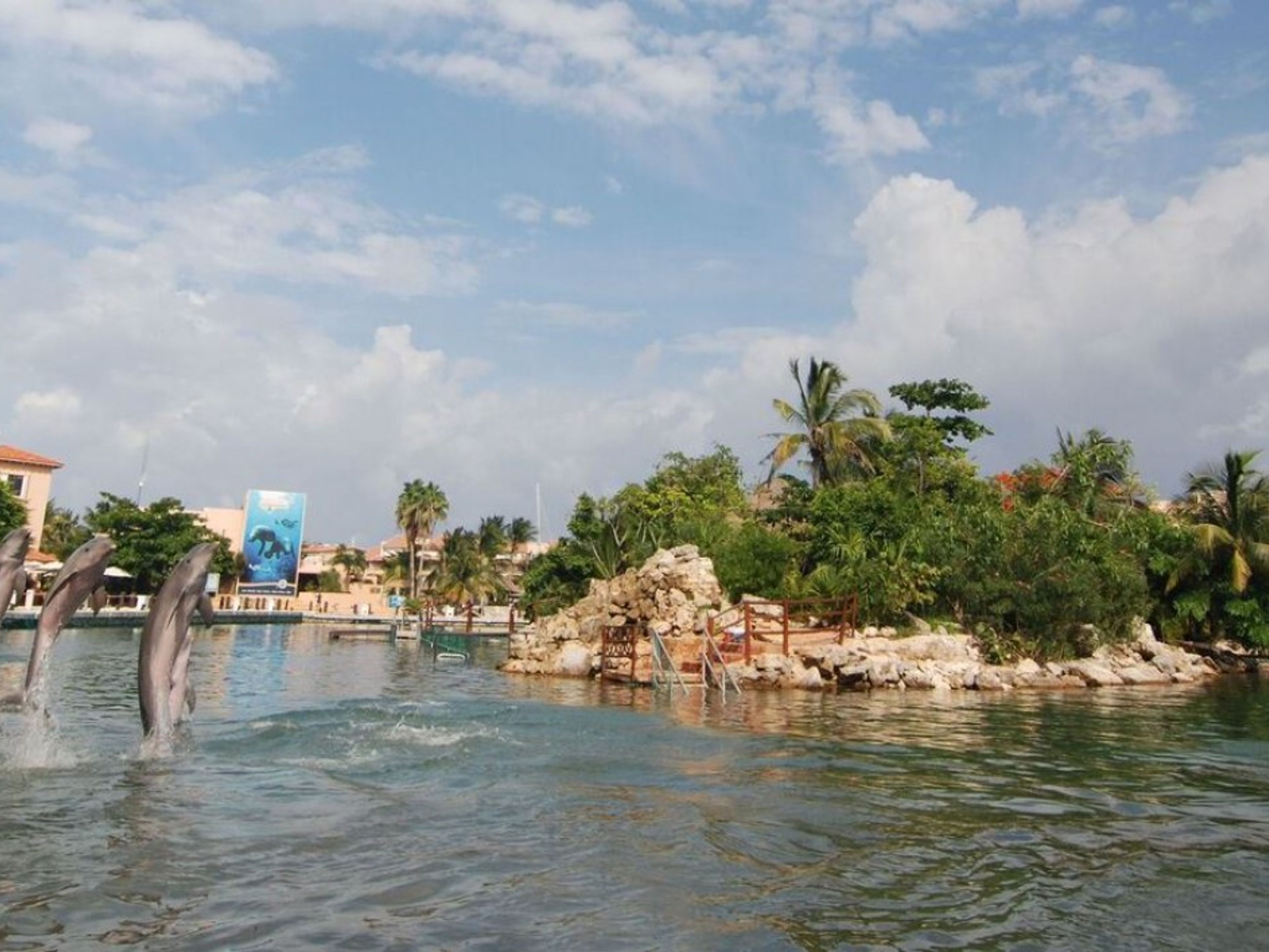 Excursão "Golfinhos Nadar Aventura em Riviera Maya". "Dolphins Swim Adventure in Riviera Maya" Tour
